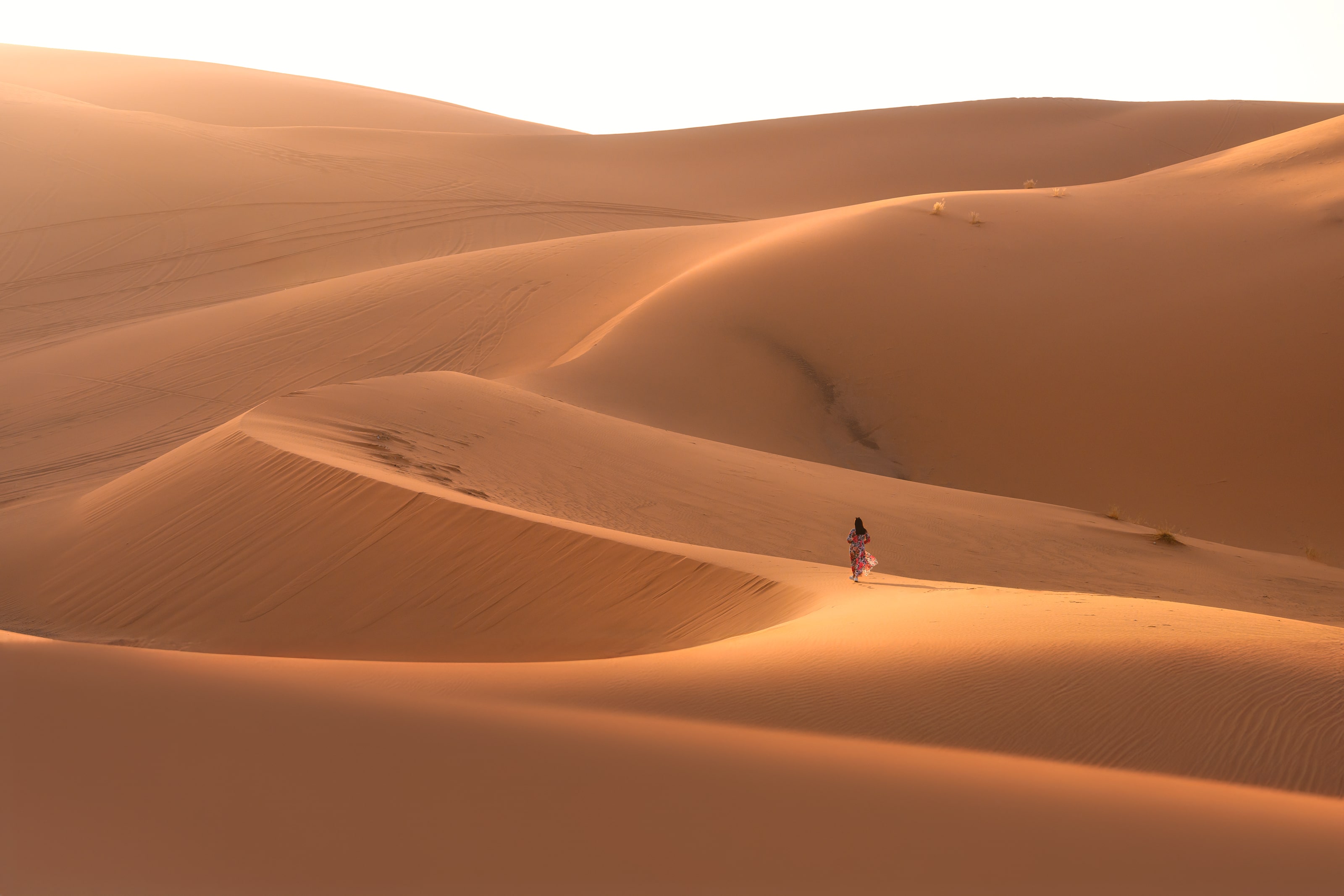 Марокко от океана до Сахары (30/87)