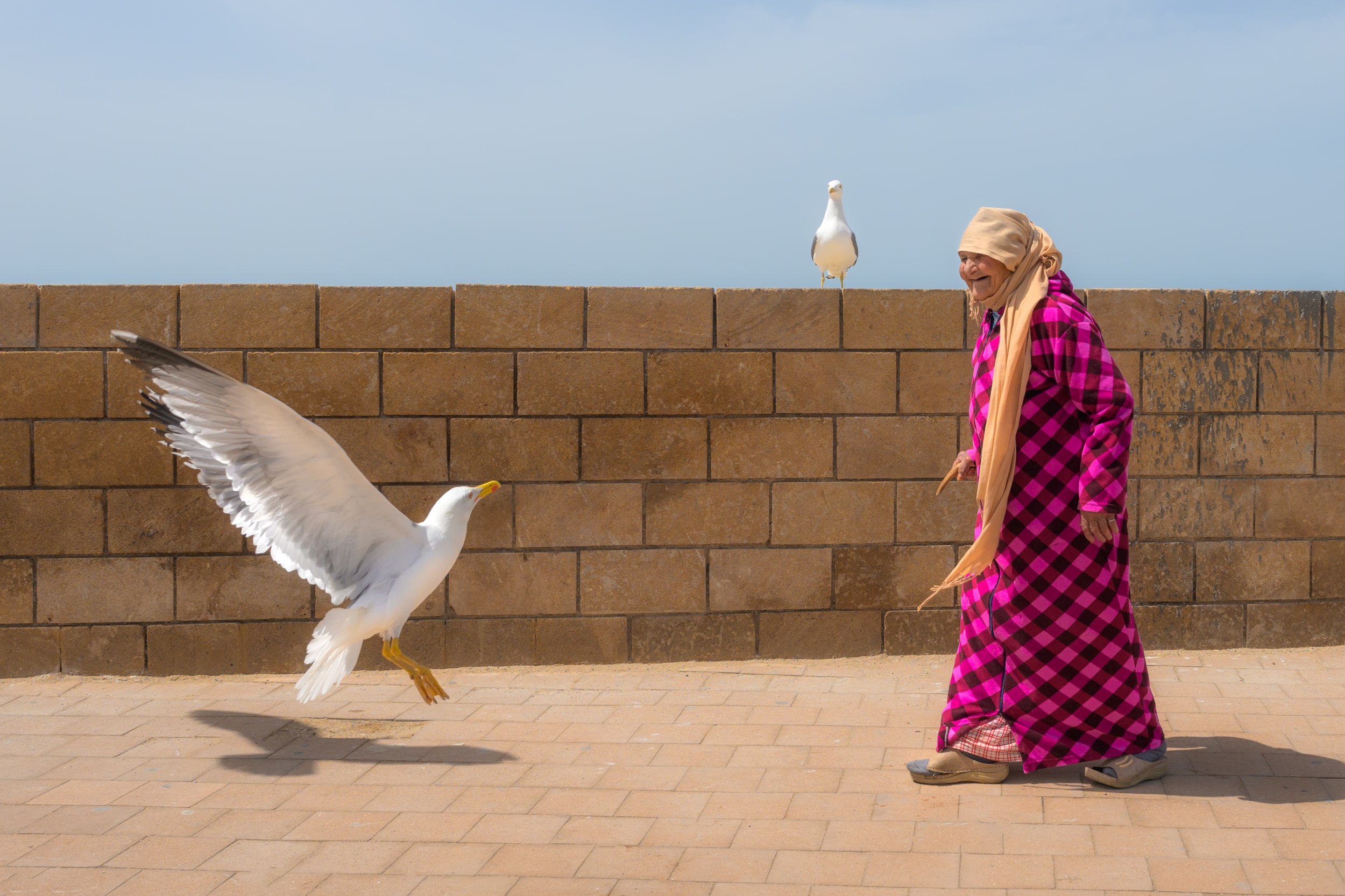 Марокко от океана до Сахары (6/87)