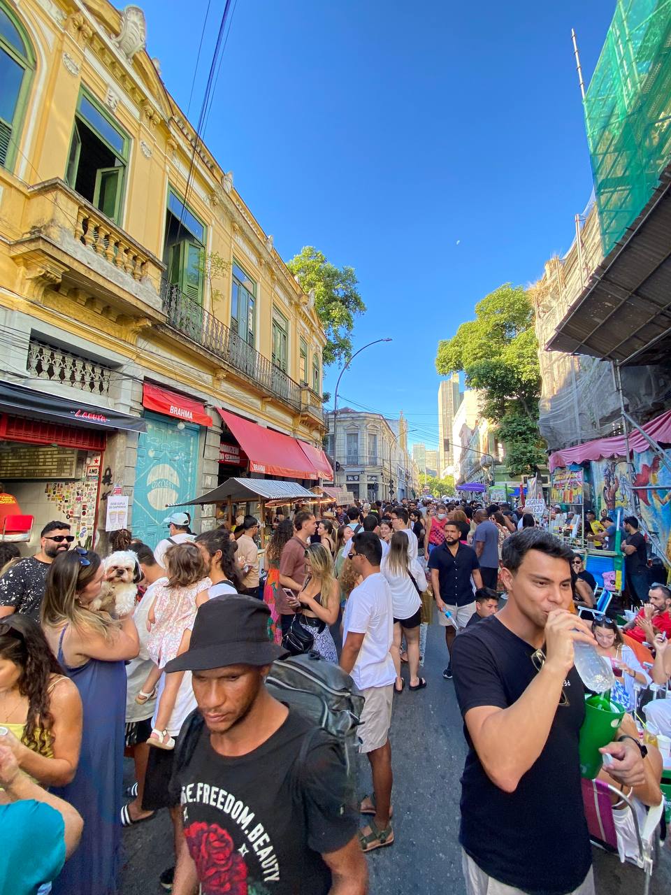 Путешествие по Бразилии (16/42)