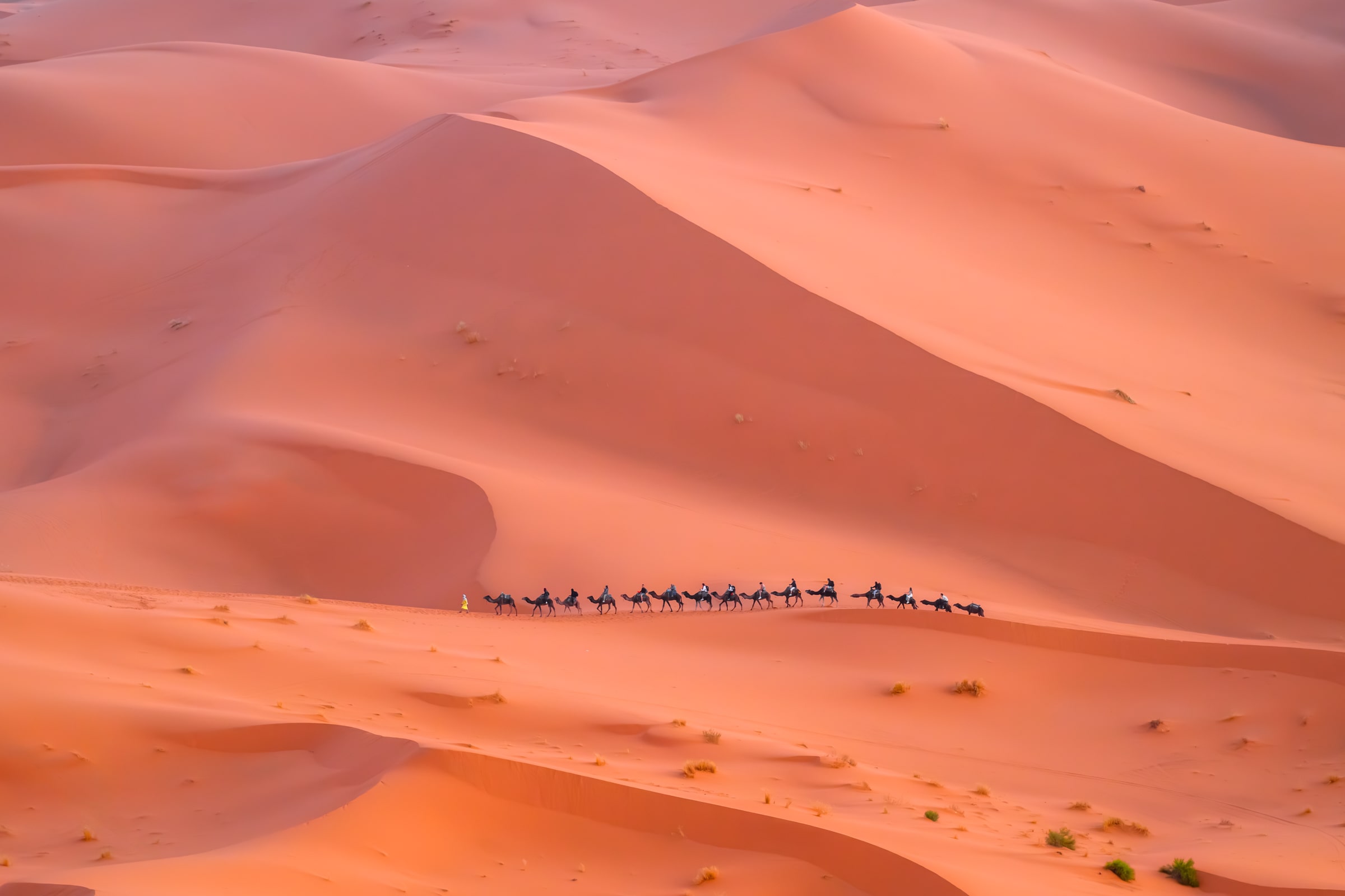 Марокко от океана до Сахары (24/87)