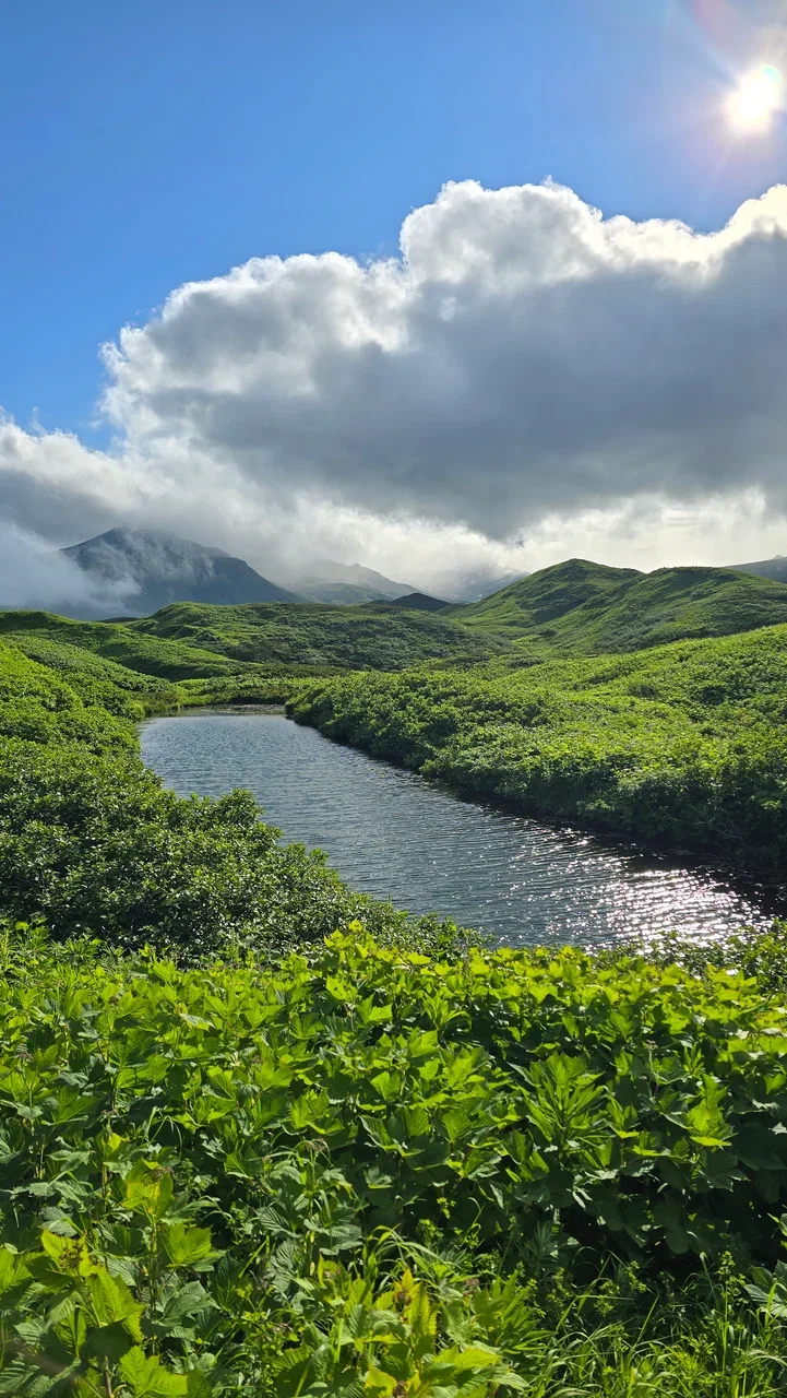 Экспедиция на Северные Курилы (4/21)