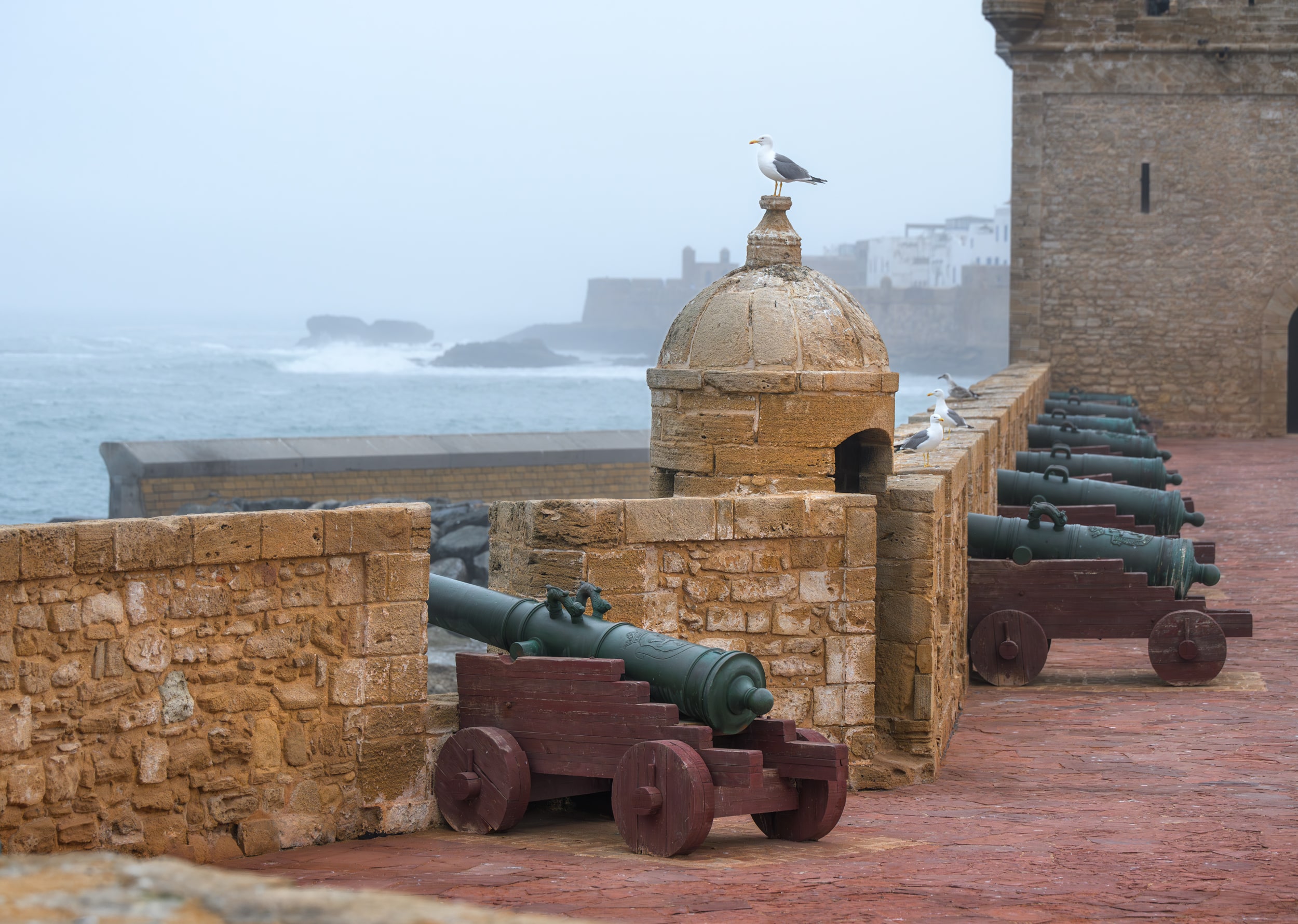 Марокко от океана до Сахары (11/87)