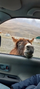 Индивидуальная экскурсия по Золотому кольцу Северной Осетии ! (8/19)