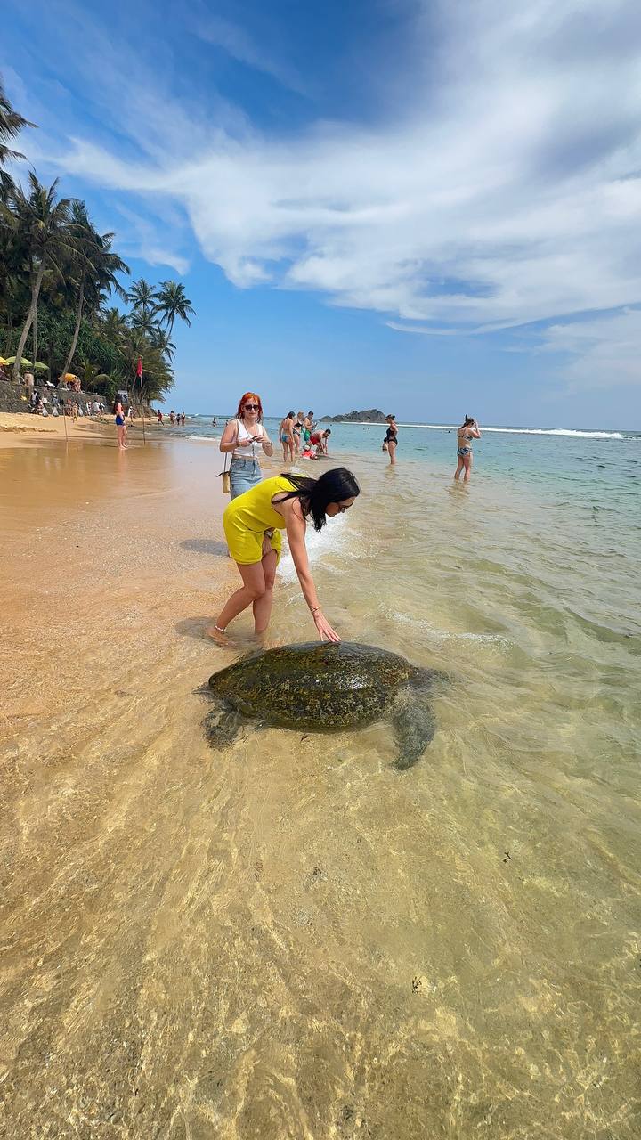 Йога-Серф Тур на Шри-Ланку с поездкой в центр острова, топ локациями юга, сафари (26/45)