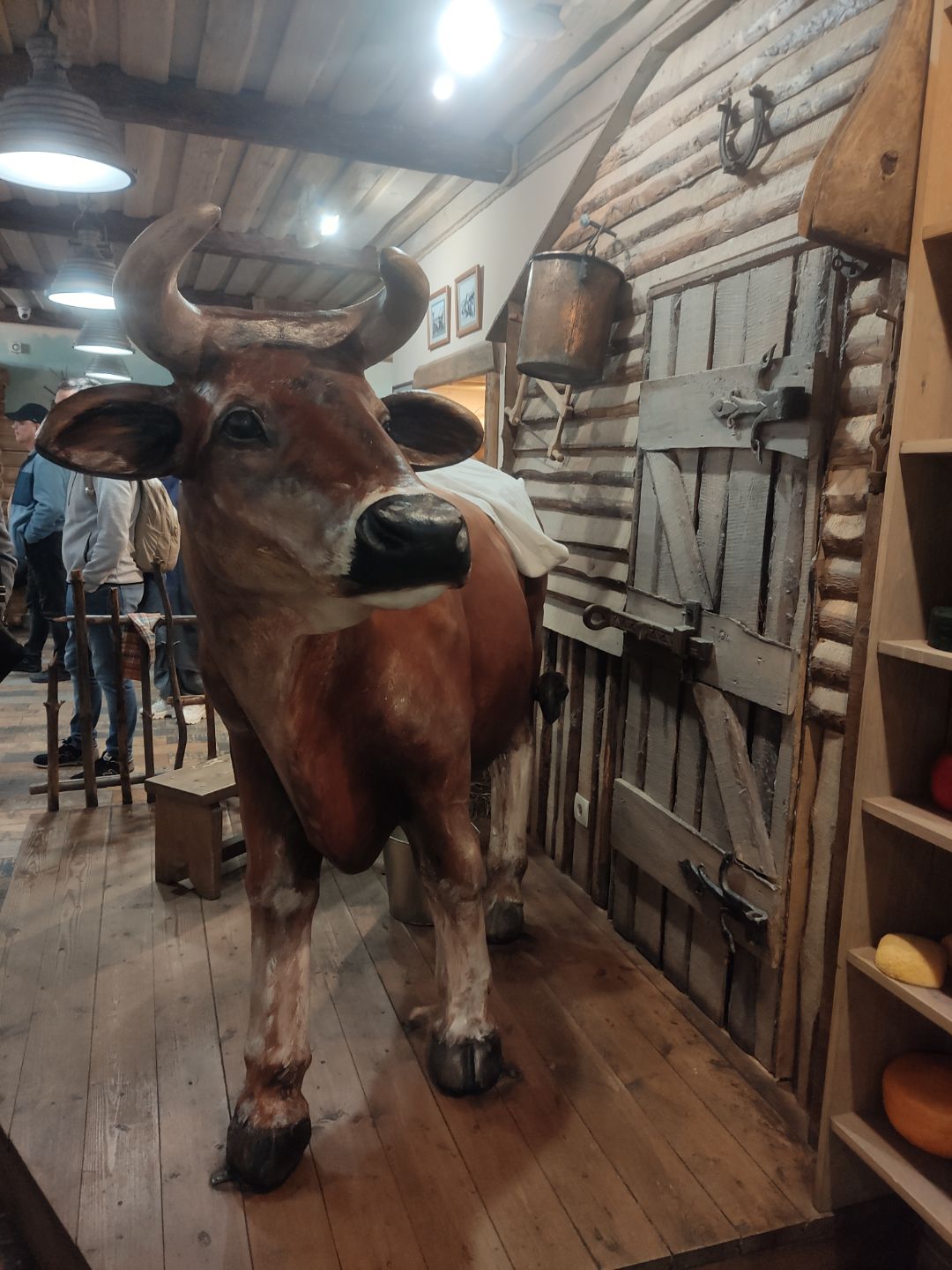 Секреты монастырских стен (6/11)