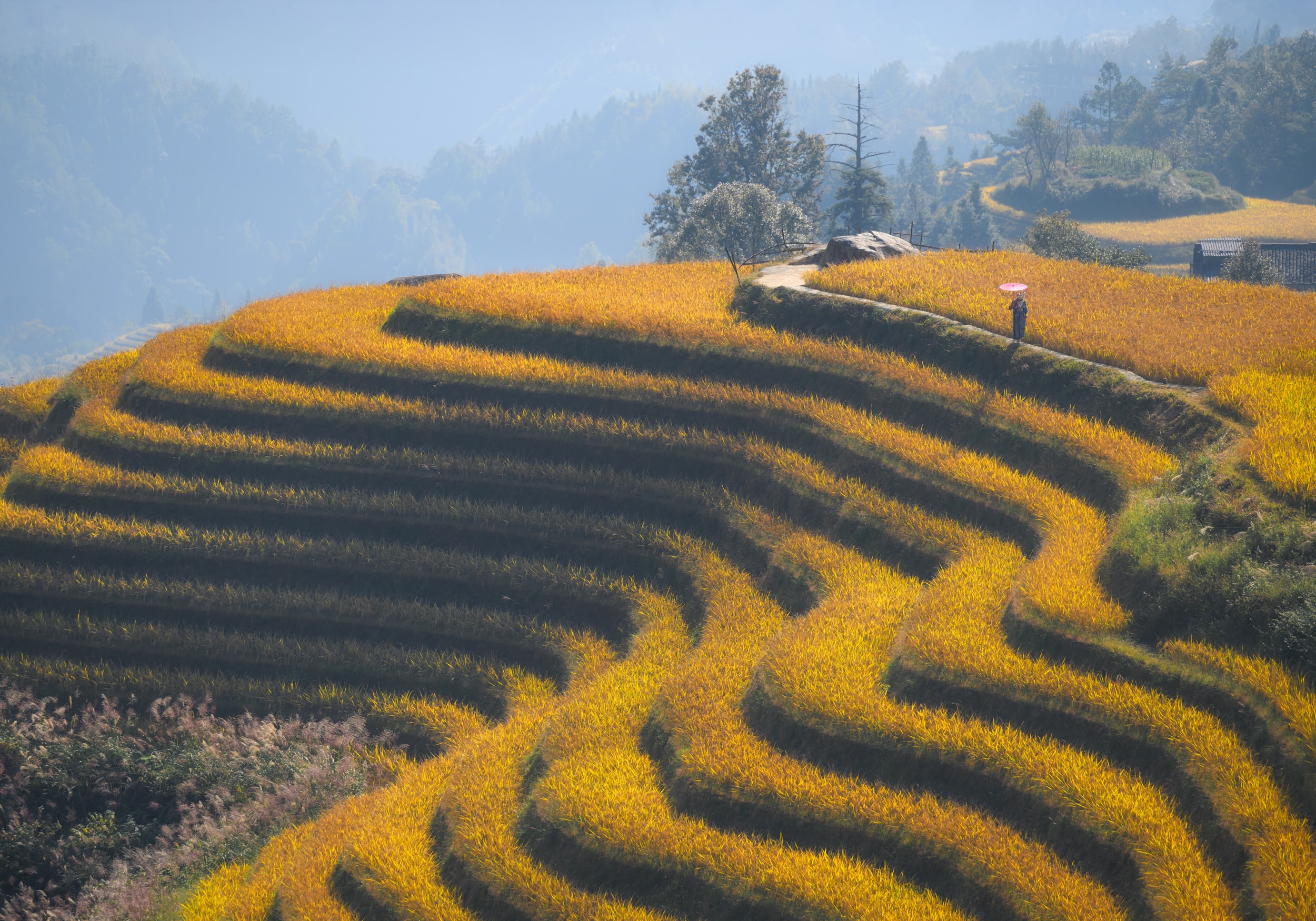Гуанчжоу — Яншо — Синпин — Дажай — Фэнхуан — Чжанцзяцзе
