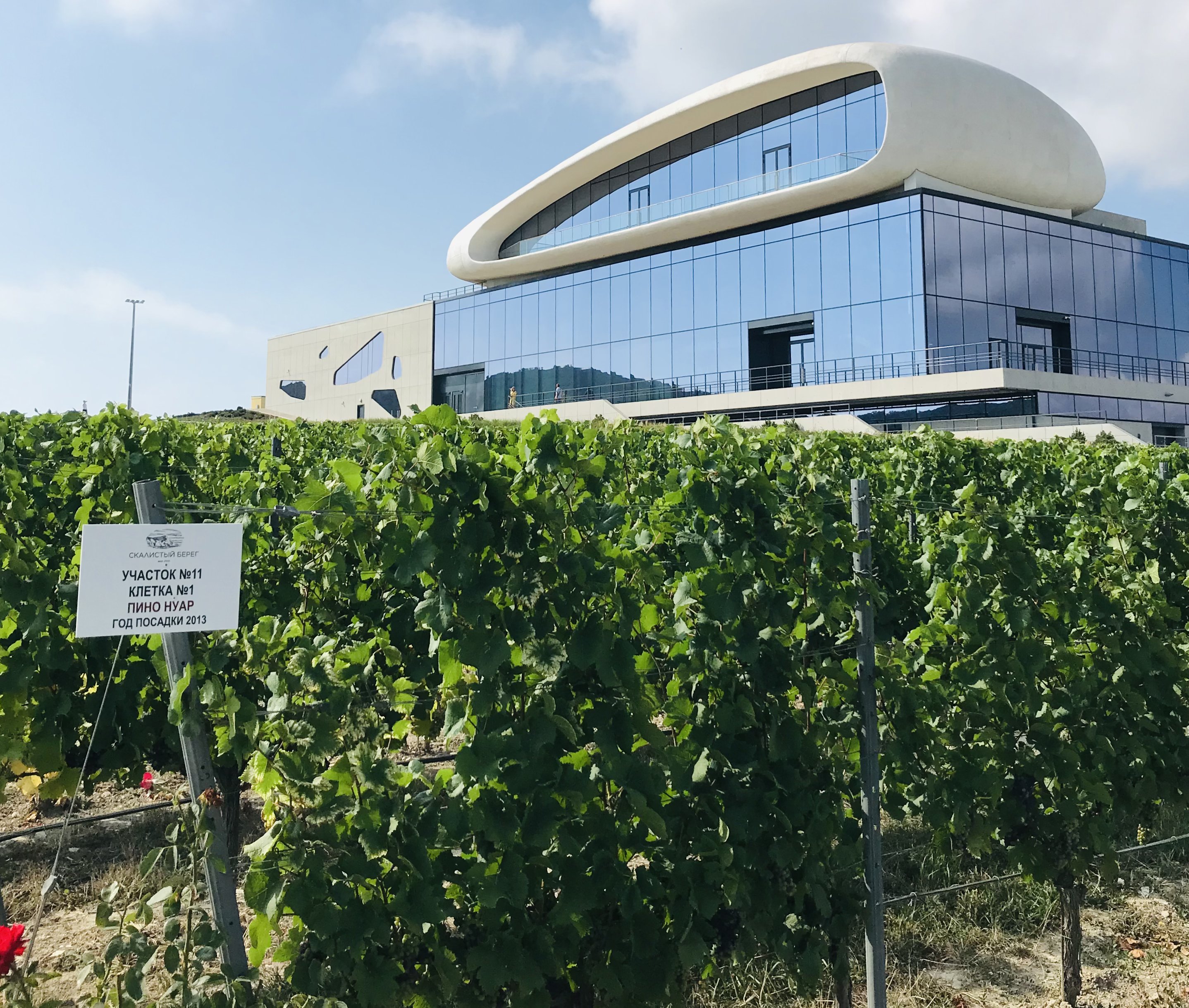 Вино и два моря: от Геленджика до Тамани - винный тур (15/38)