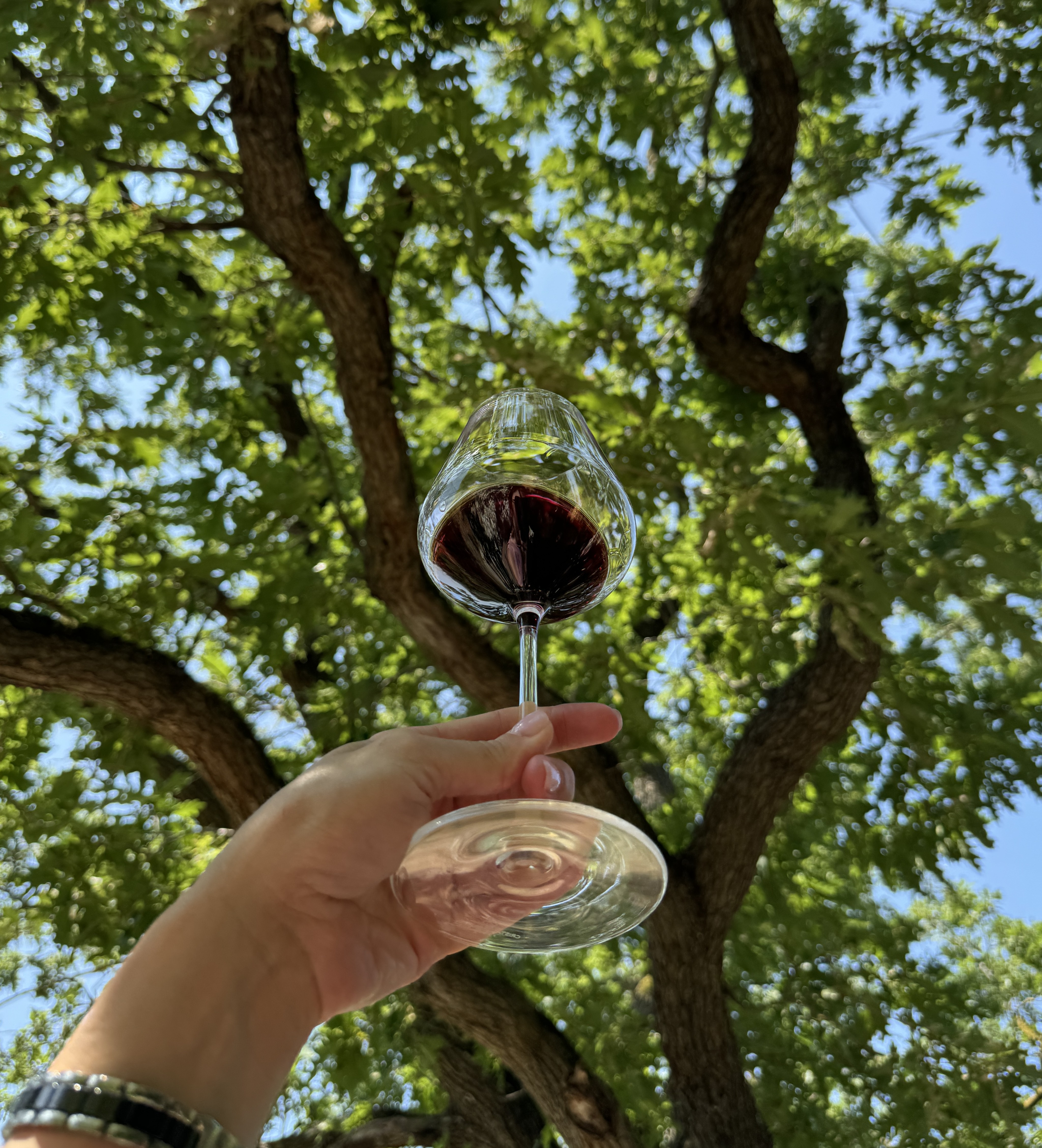 Вино и два моря: от Геленджика до Тамани - винный тур (2/38)