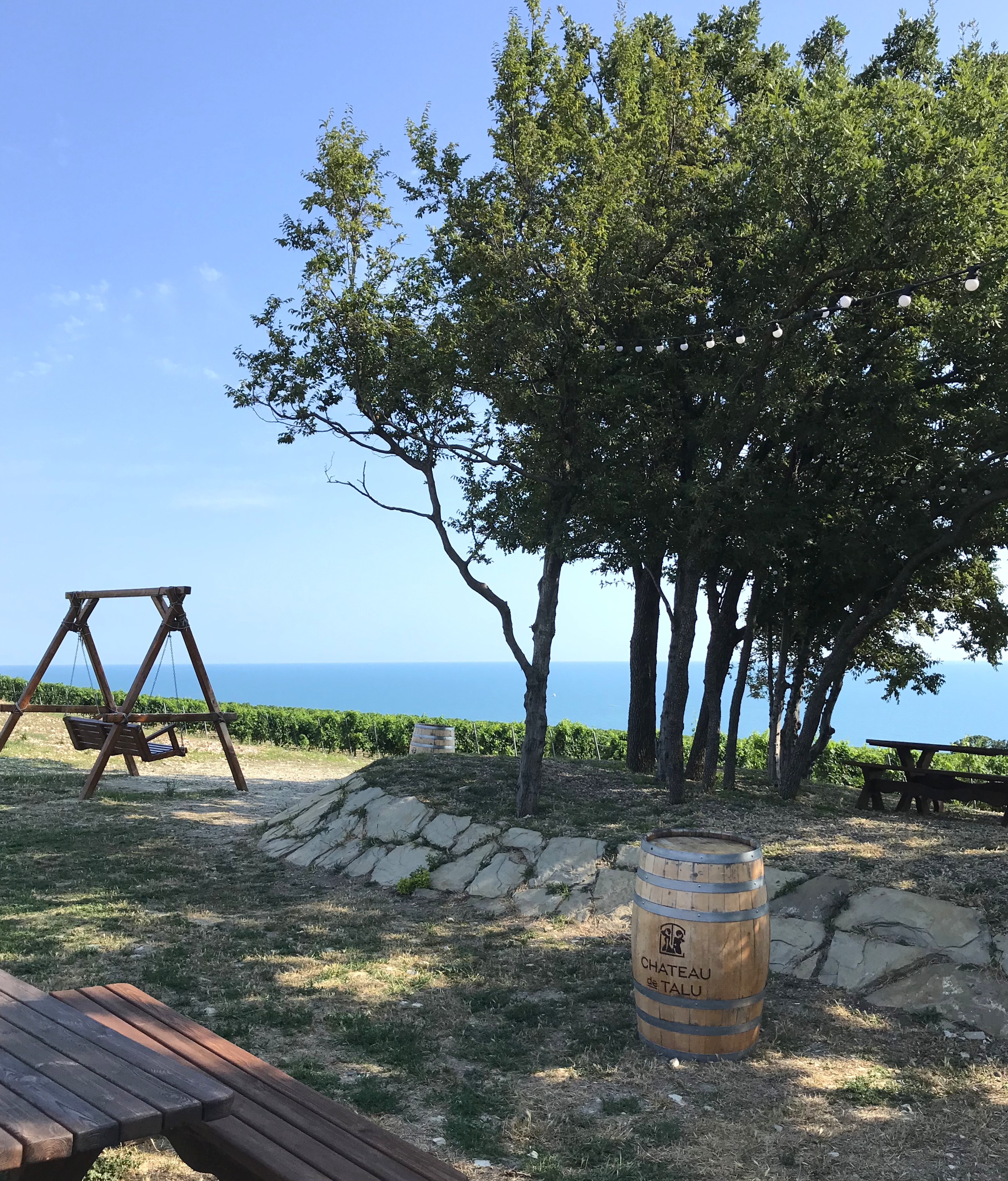 Вино и два моря: от Геленджика до Тамани - винный тур (13/38)