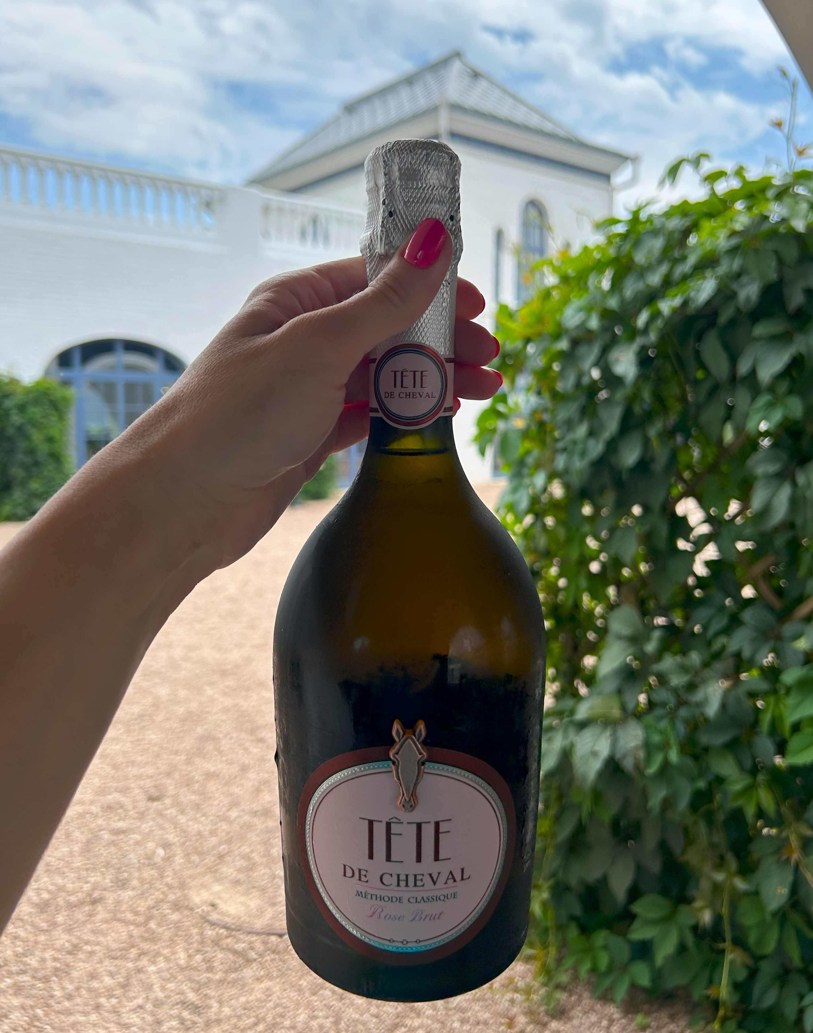 Вино и два моря: от Геленджика до Тамани - винный тур (14/38)