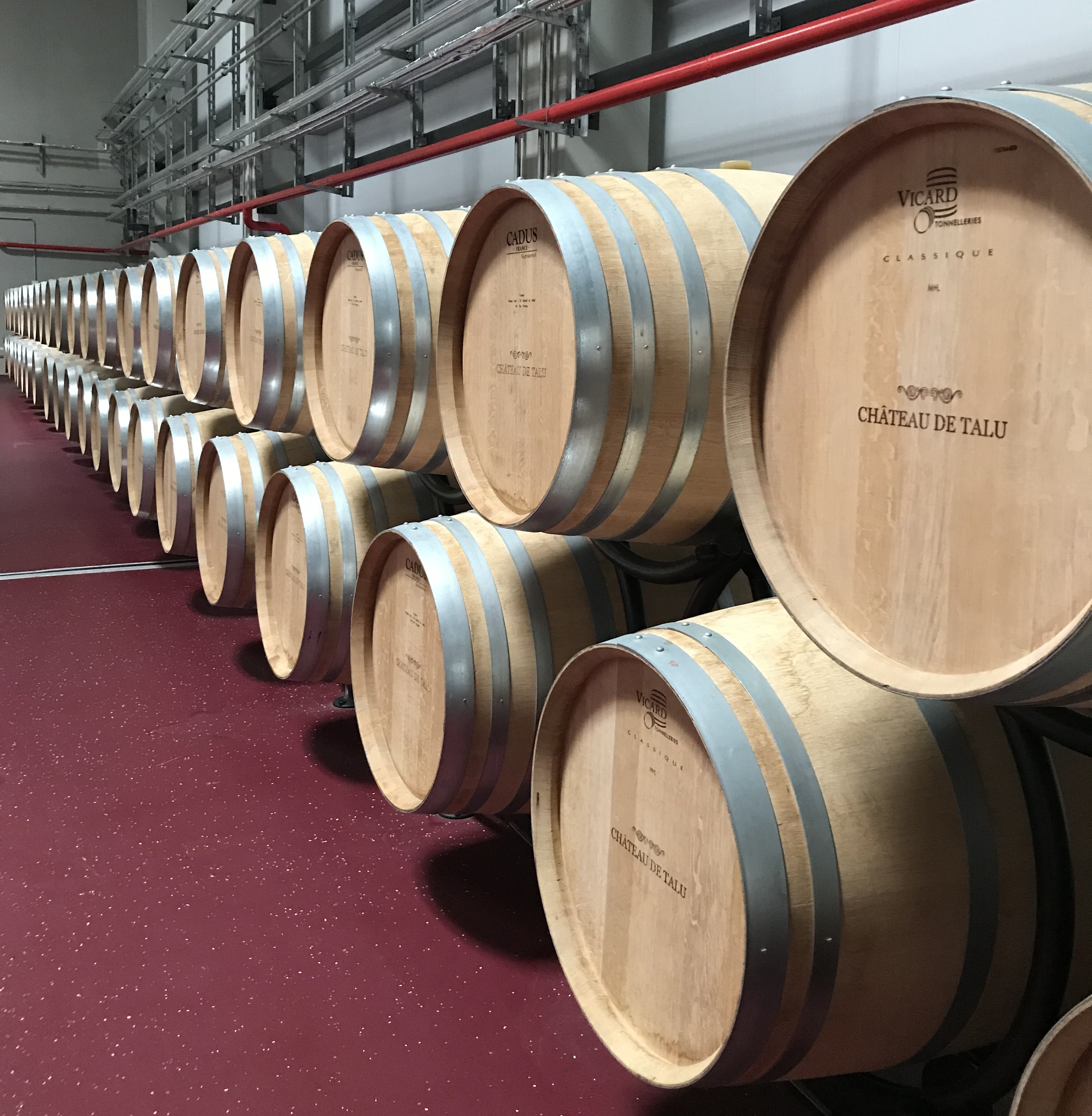 Вино и два моря: от Геленджика до Тамани - винный тур (10/38)