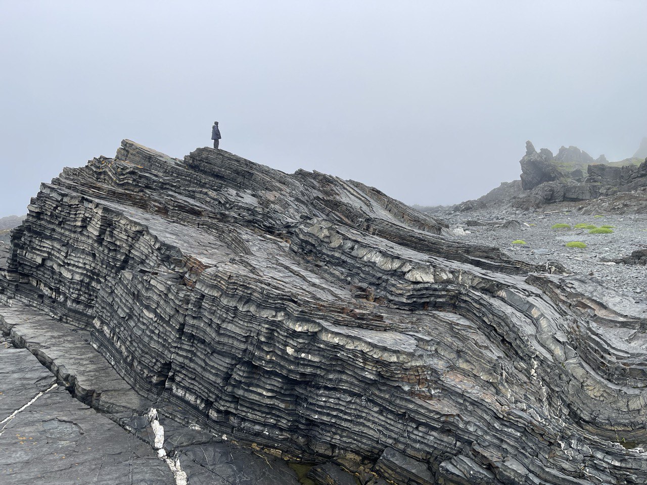 По  полуострову Рыбачий на внедорожном автобусе (17/39)