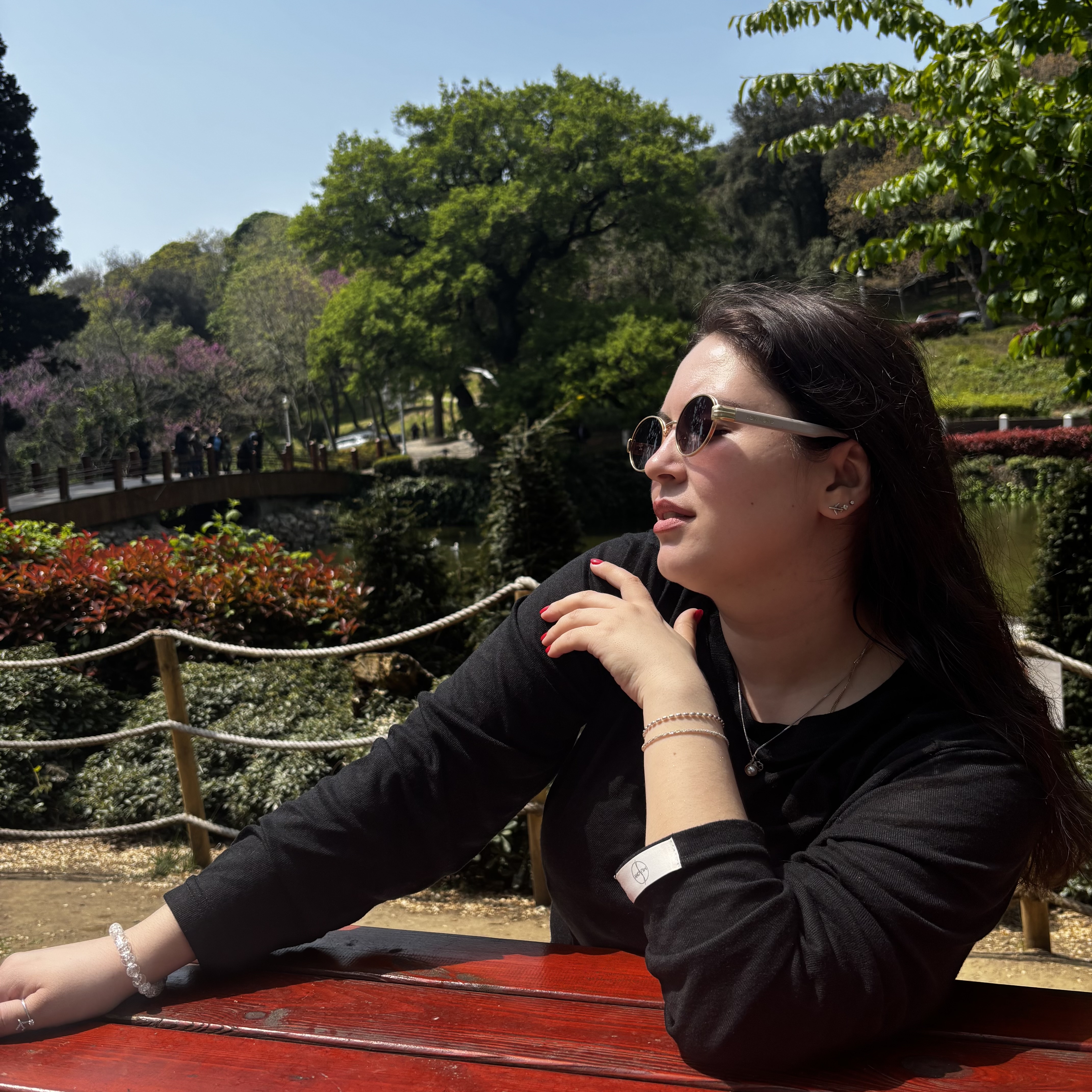 Девичник в Стамбуле Istanbul Askim (25/41)