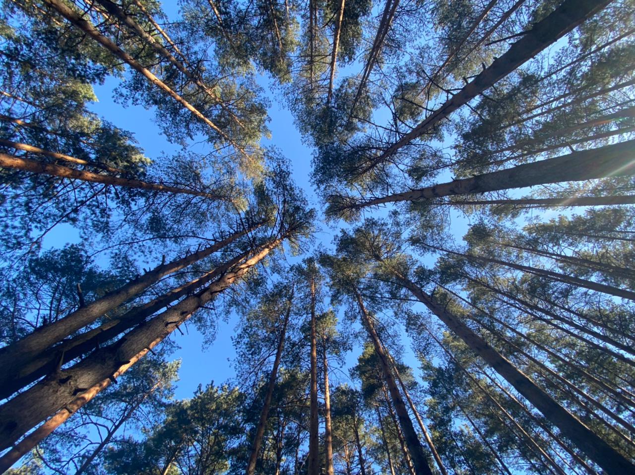 Супер-сплав, посвященный завершению летнего сезона 2026 (6/13)