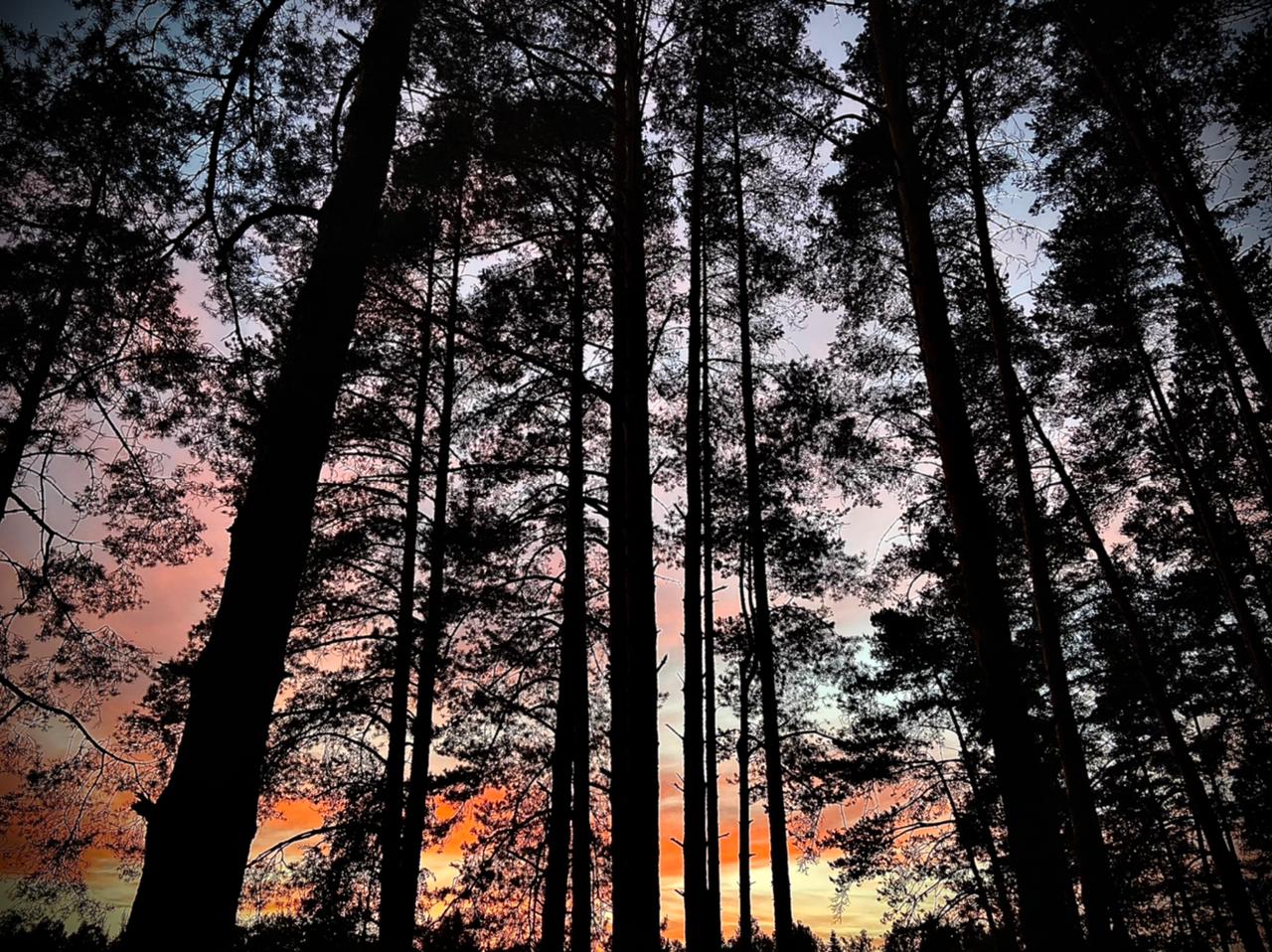 Супер-сплав, посвященный завершению летнего сезона 2026 (5/13)