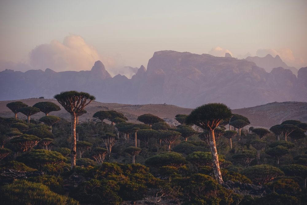 Нац парк Диксам