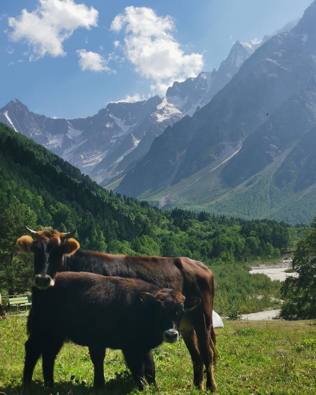 Джип-тур в мини-группе на Домбай (4/17)