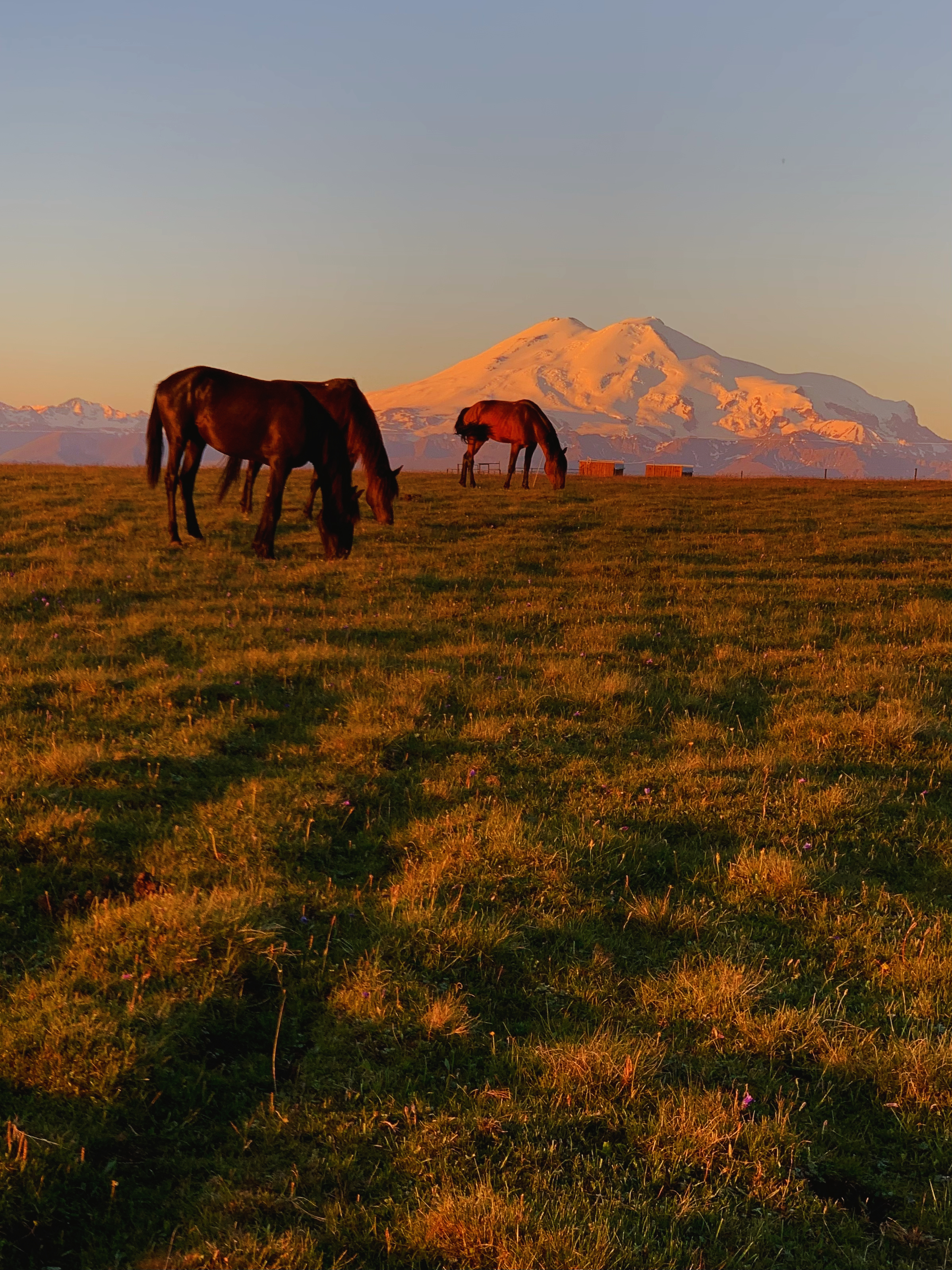Джип-тур в мини-группе на Джилы-Су:  водопады и одна из самых красивых дорог России (6/8)