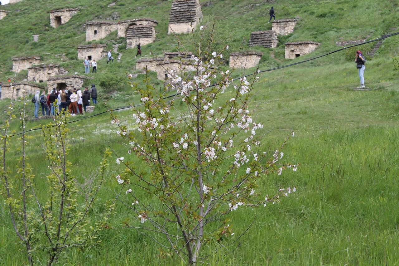 Индивидуальная экскурсия по Золотому кольцу Северной Осетии ! (16/19)