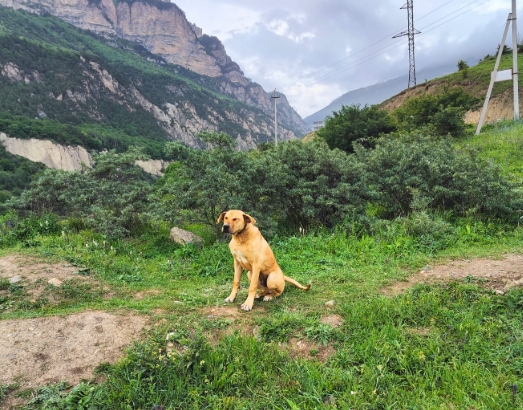 Индивидуальная экскурссия Цейская сказка. (7/21)