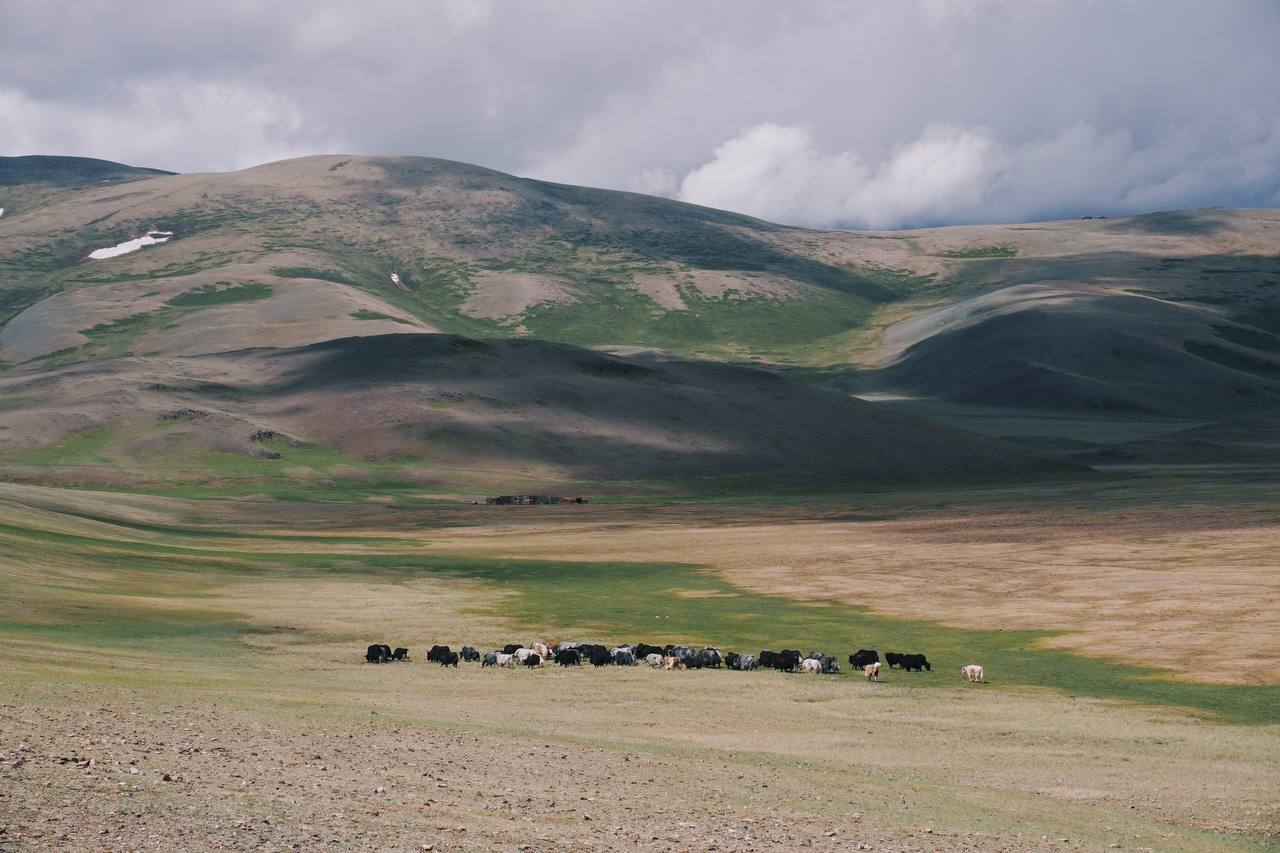 Горный Алтай: Большое путешествие по местам силы (3/17)
