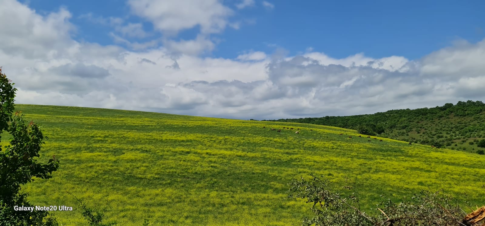 Хучни и экраноплан Лунь (14/16)