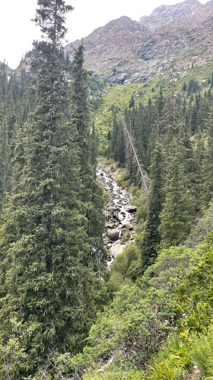 7 дней в сердце горного Кыргызстана (22/27)