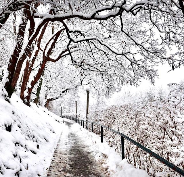 Грац - город контрастов (11/19)