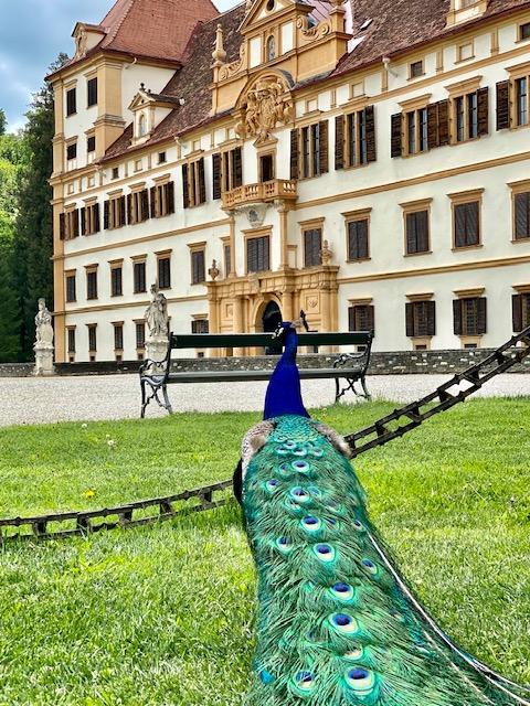 Грац - город контрастов (2/19)