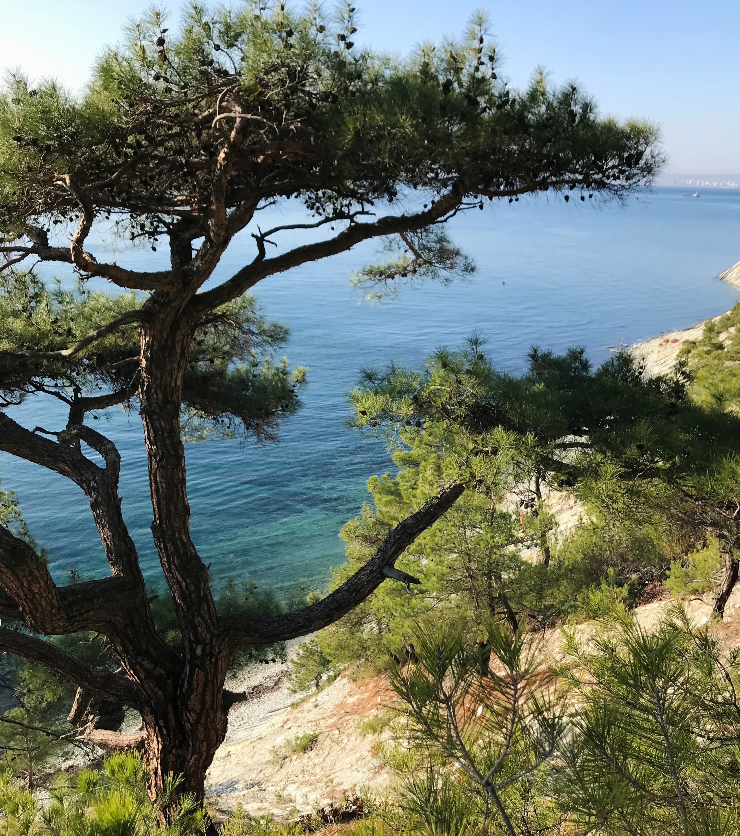 Вино и два моря: от Геленджика до Тамани - винный тур (18/38)