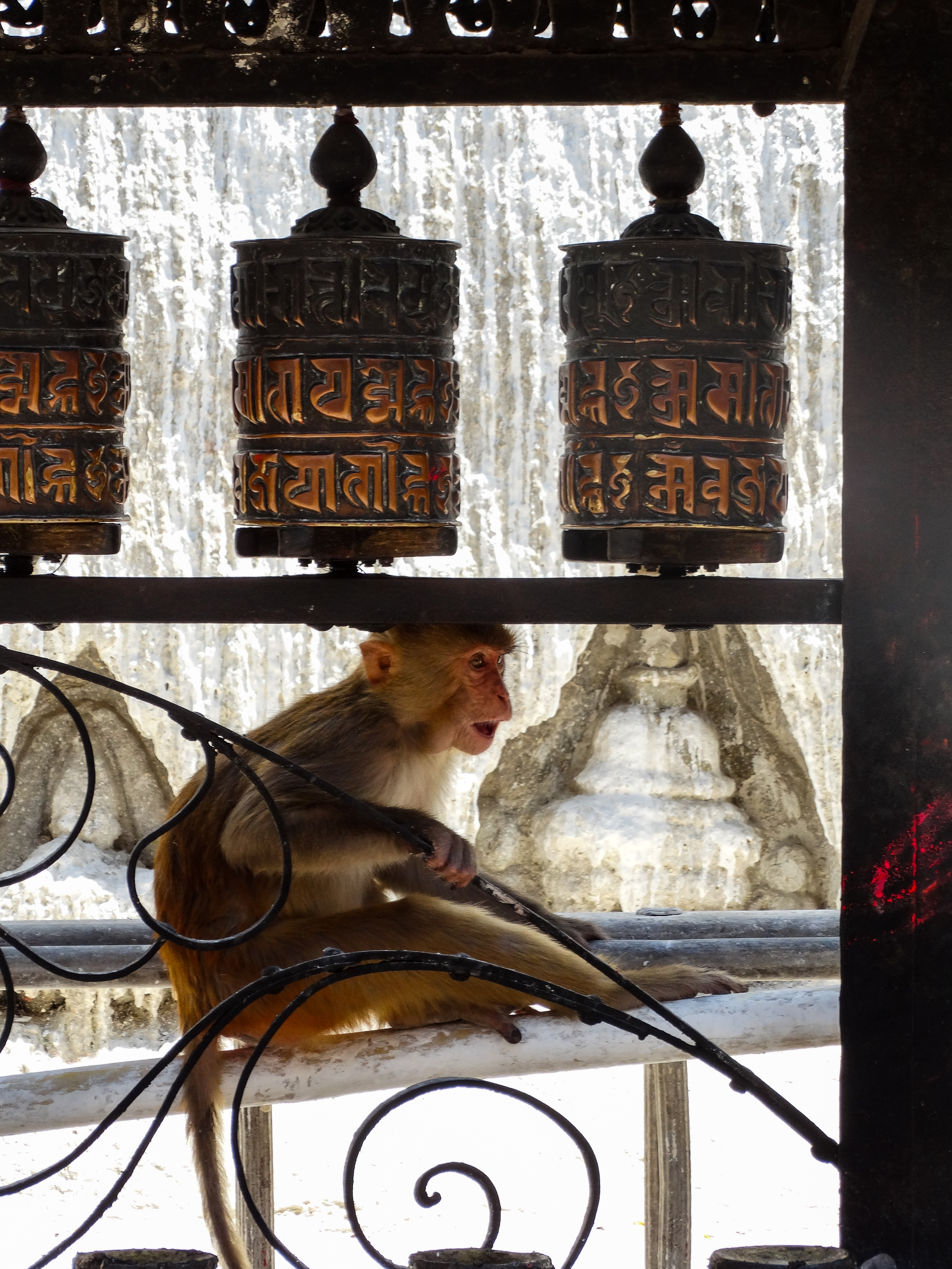 Непал. Трек вокруг Аннапурны с озером Тиличо (10/23)