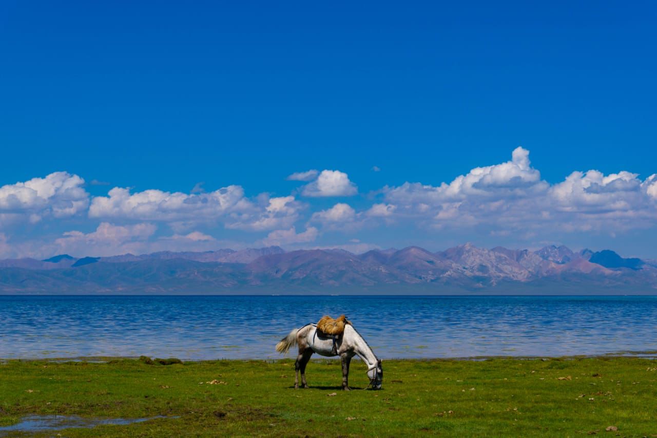 7 дней в сердце горного Кыргызстана (5/27)