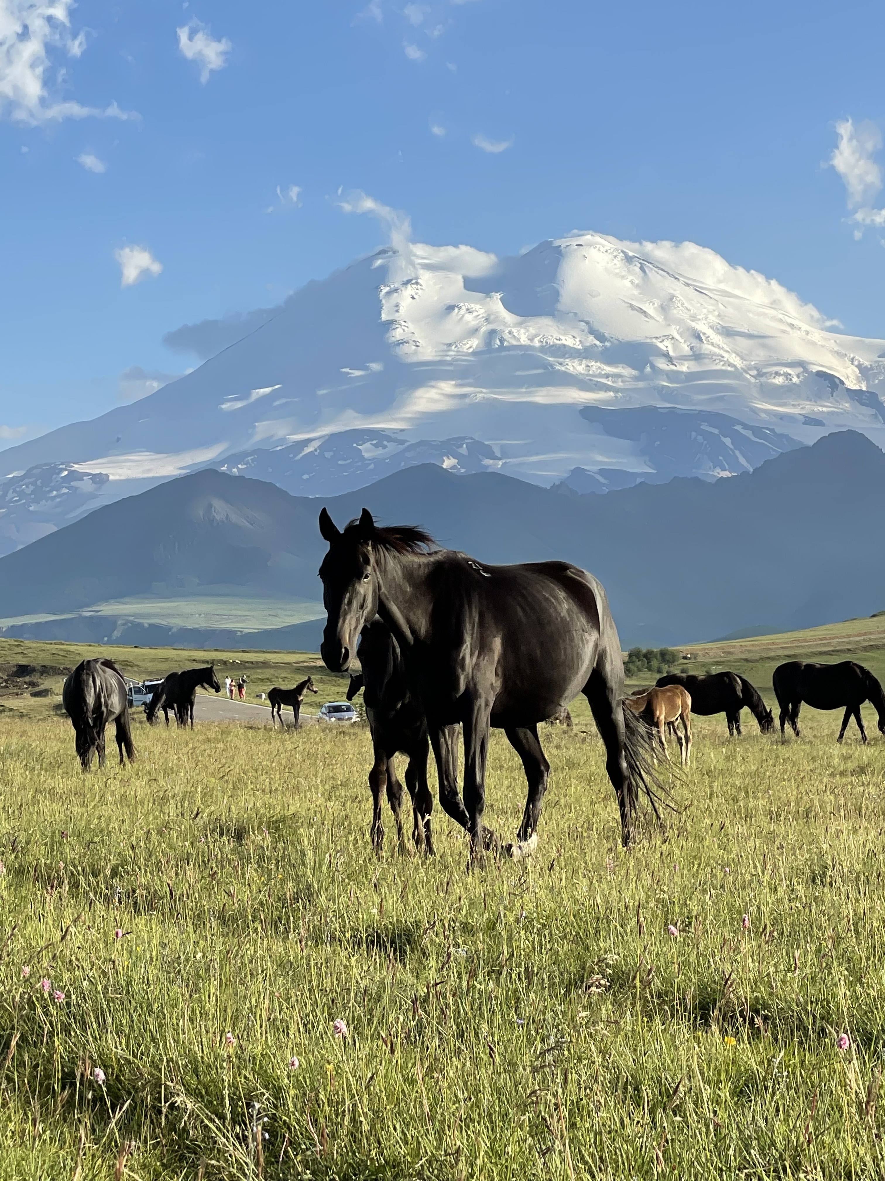Джилы-Су и Бермамыт: с ночевкой в обсерватории! (16/22)