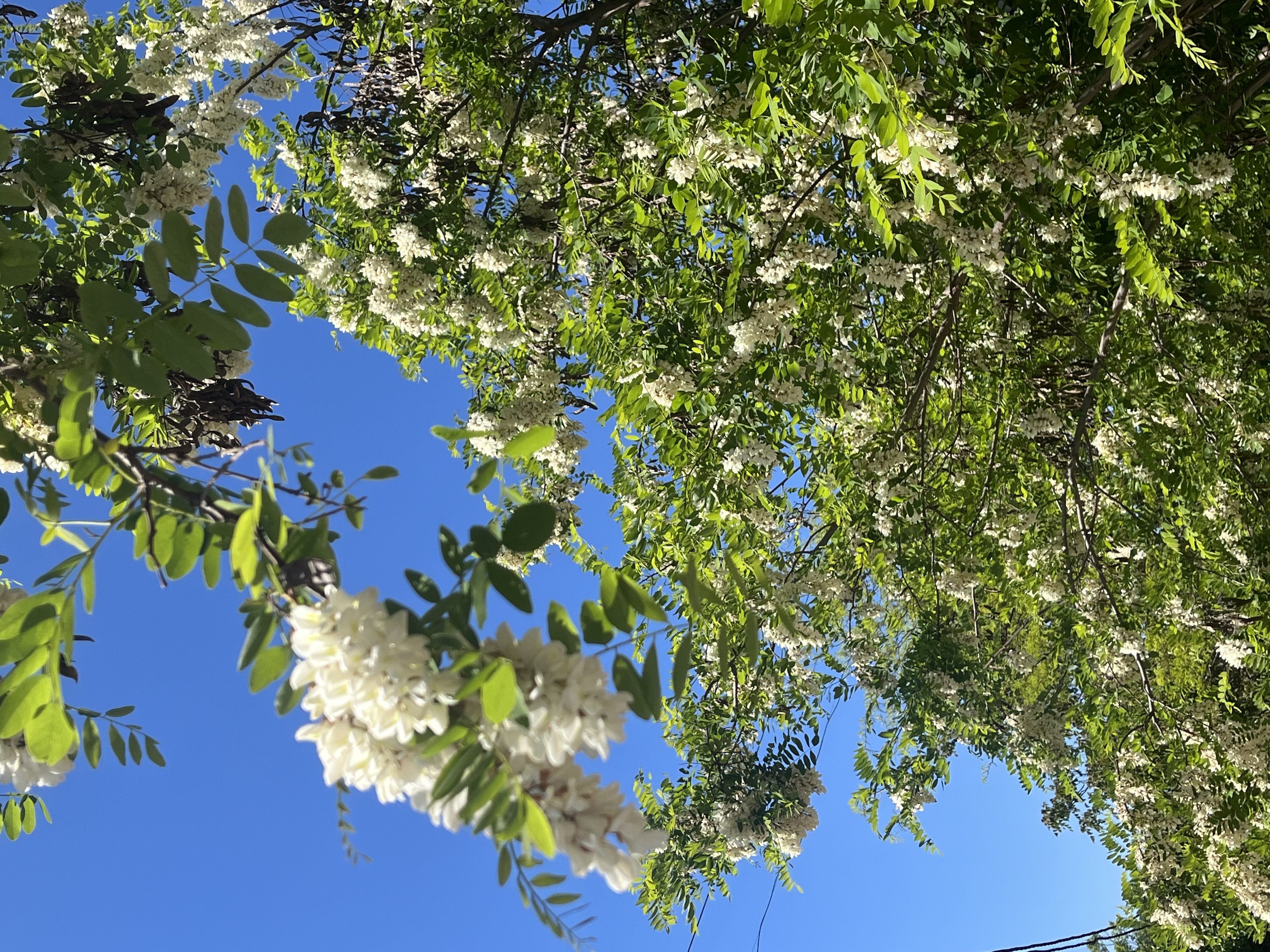 Vip Девичник Крымская мозаика: собирая себя из ярких моментов (7/11)