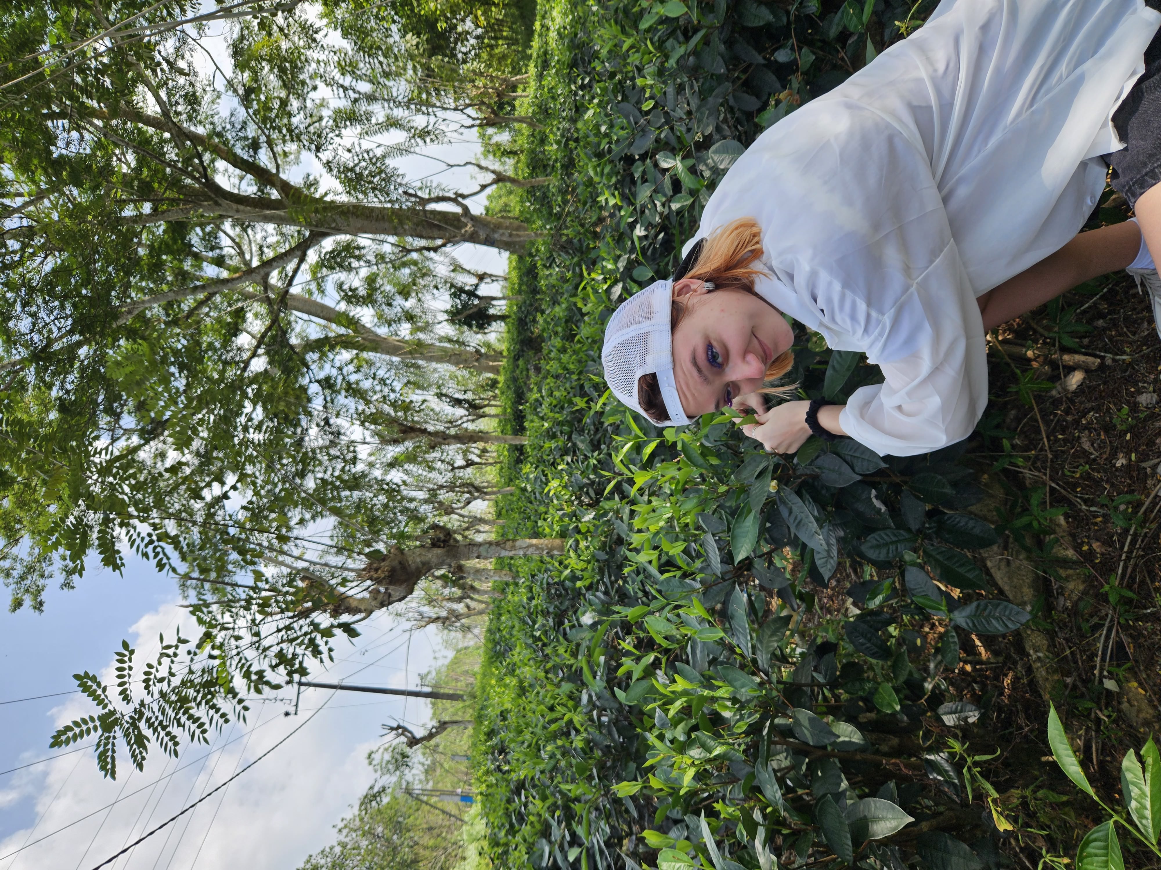 Визитные карточки  Галла и черепахи (2/19)