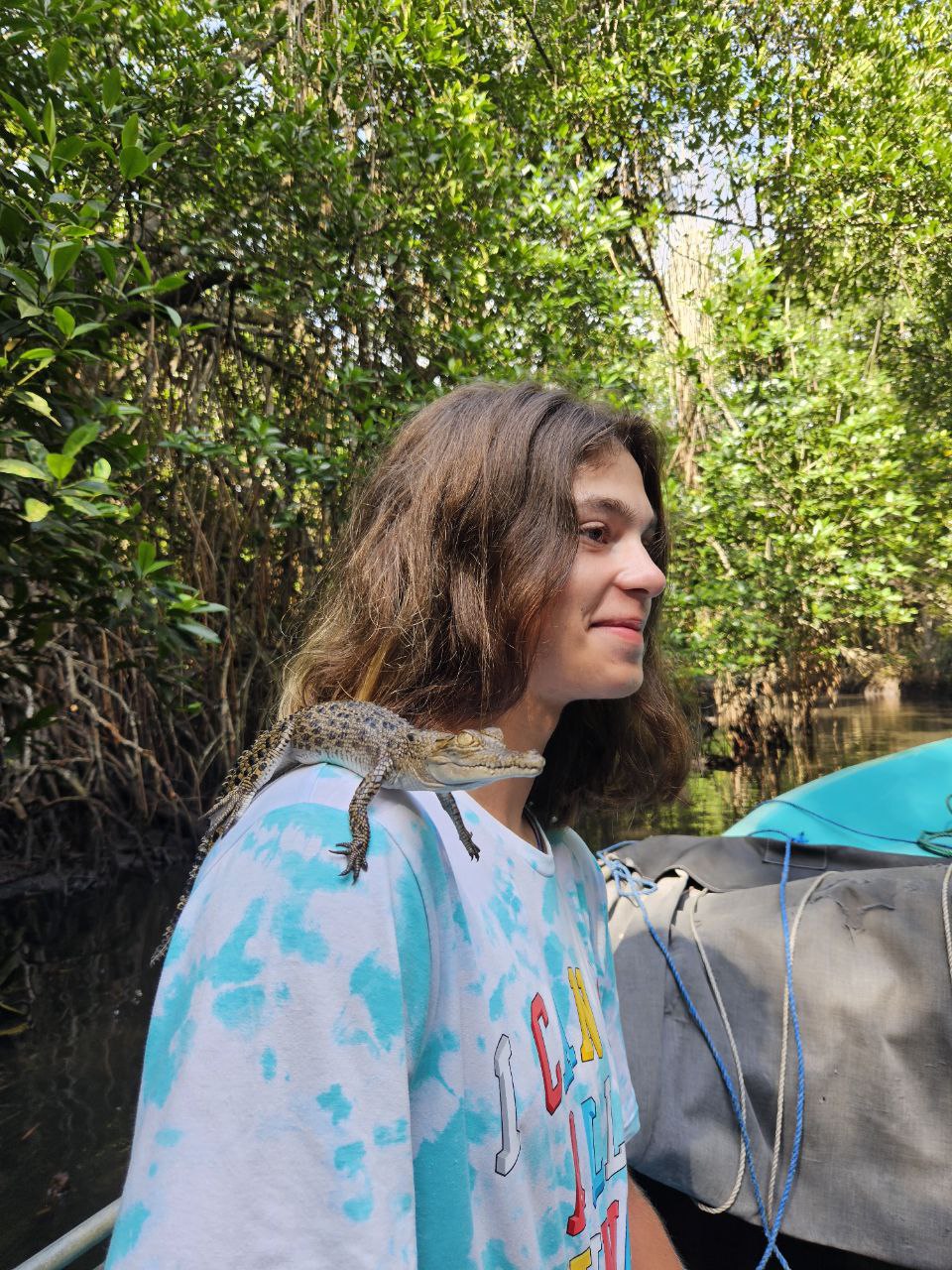 Визитные карточки  Галла и черепахи (12/19)