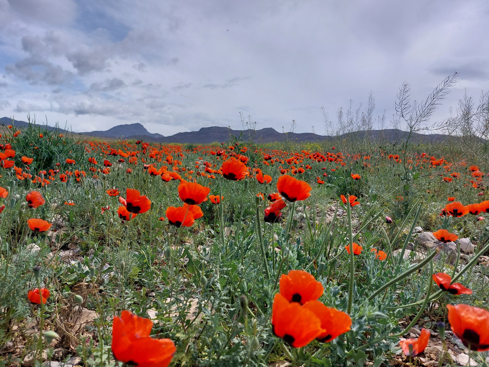 Многоликая Армения за 8 дней! (15/39)