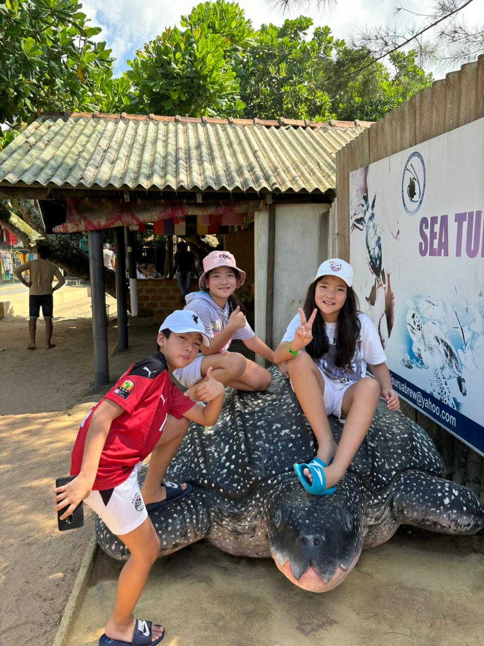 Визитные карточки  Галла и черепахи (3/19)