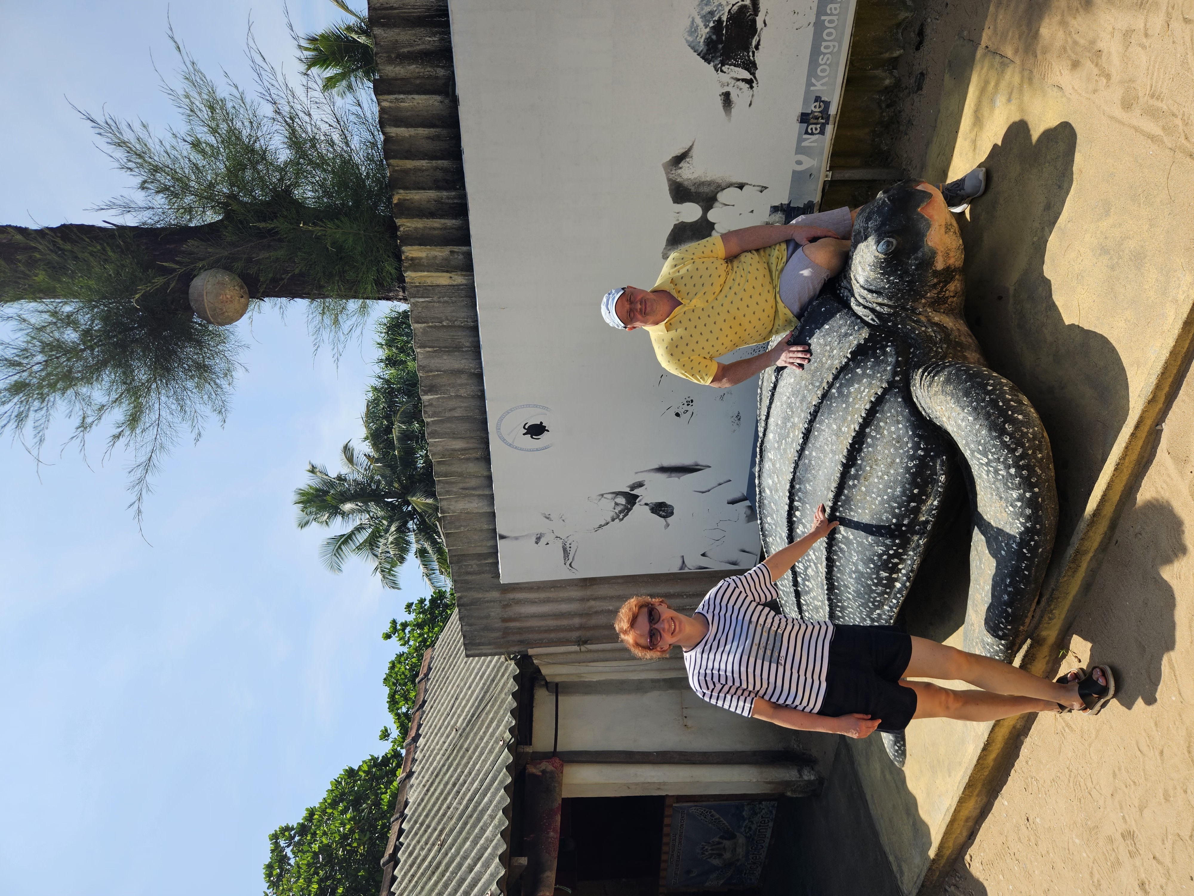 Визитные карточки  Галла и черепахи (8/19)