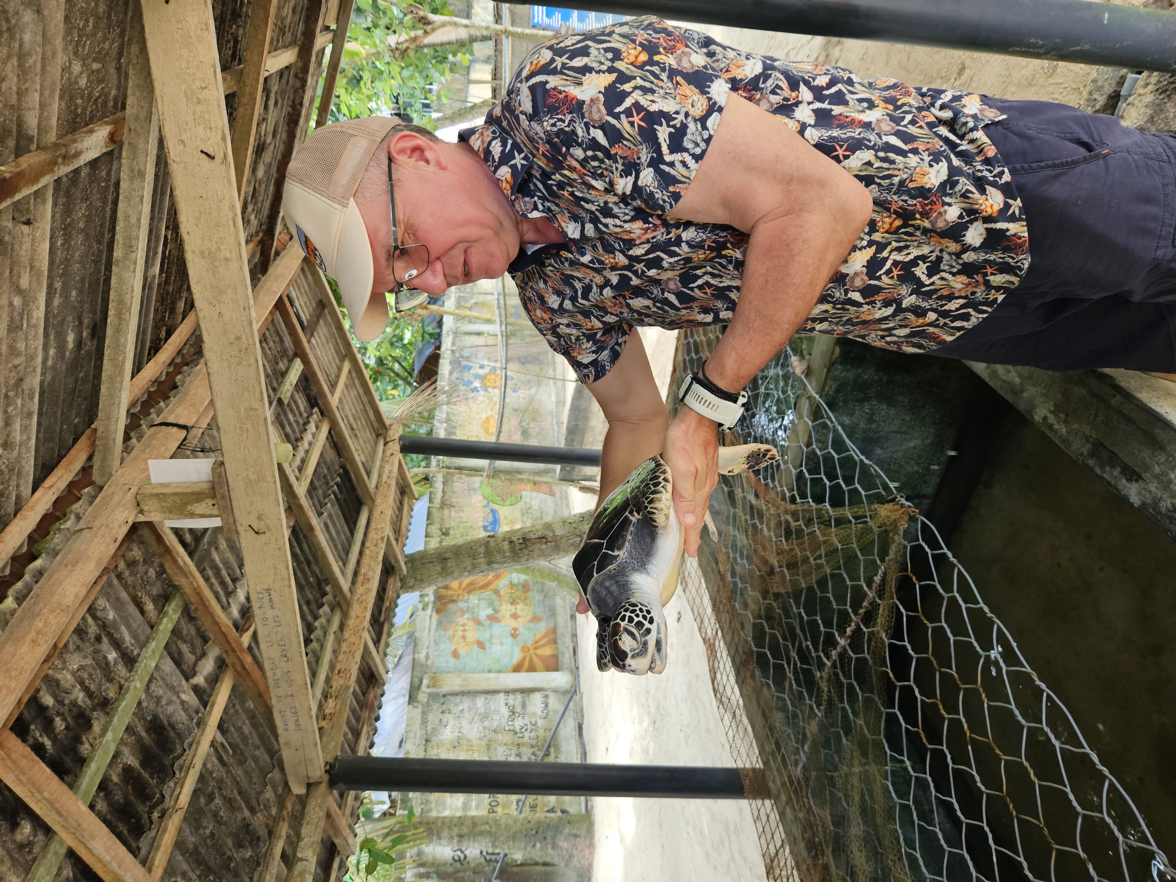 Визитные карточки  Галла и черепахи (5/19)