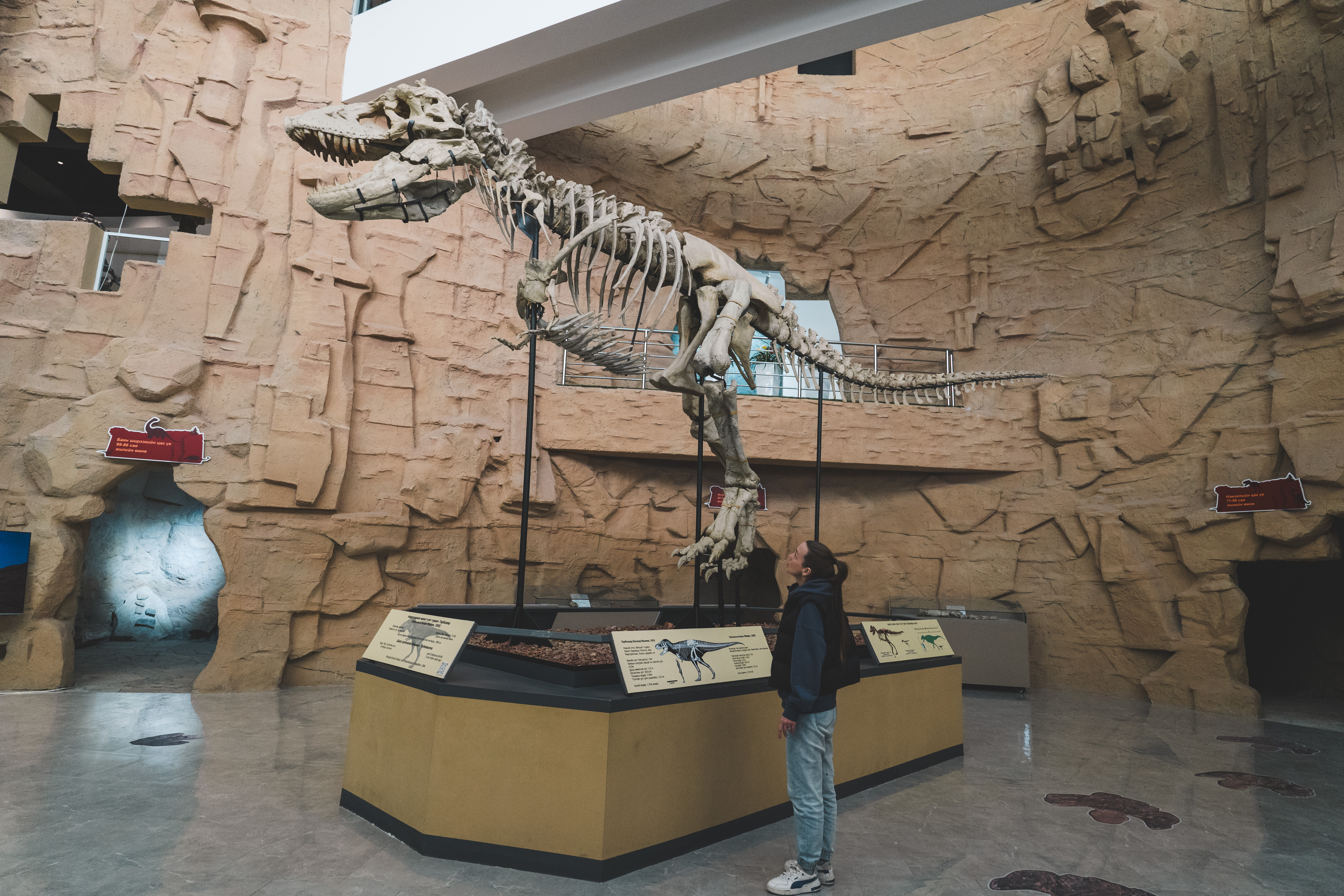 Modern Nomads - к золотым пескам Гоби (6/59)