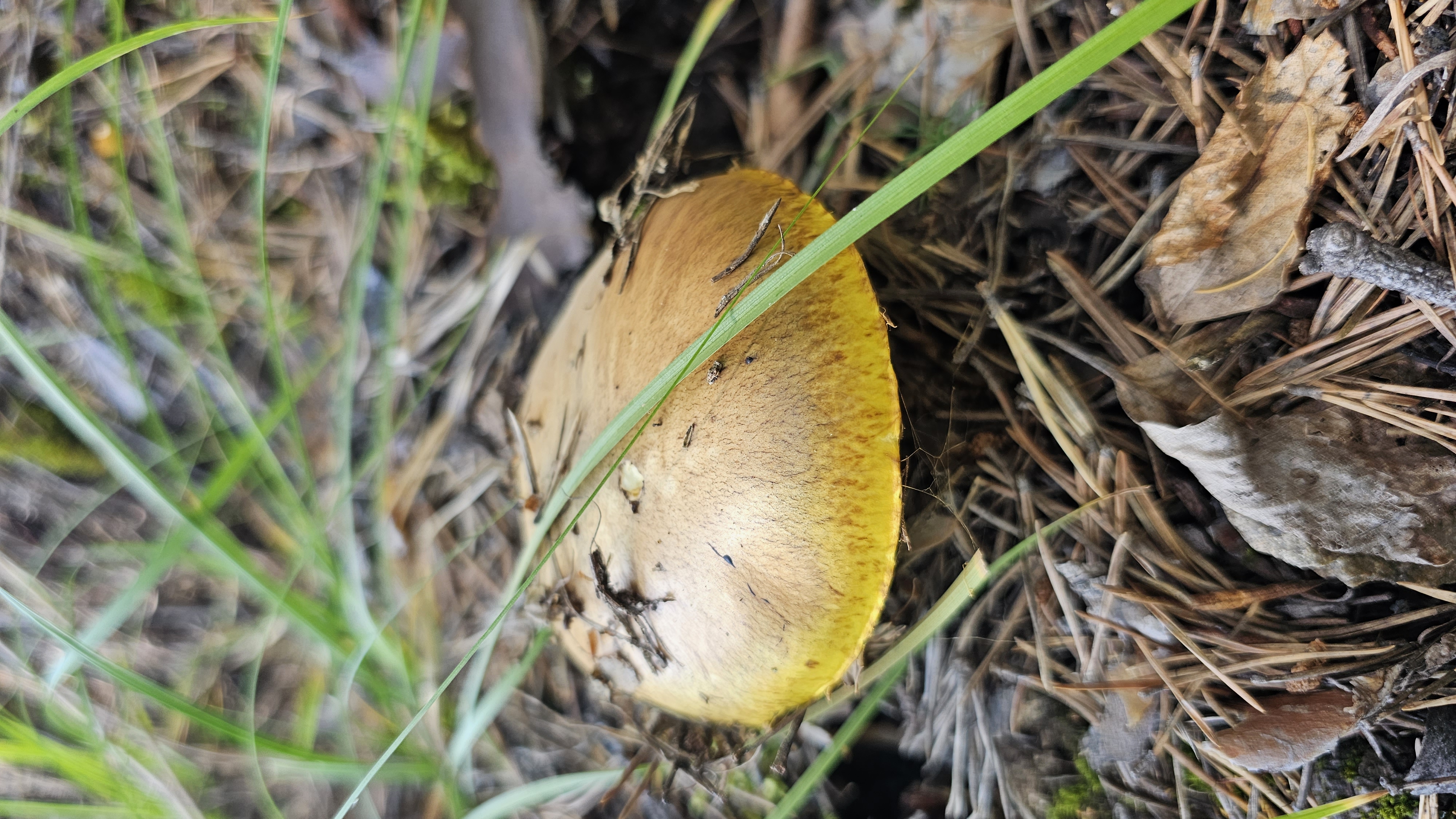 Сердце Байкала, комфорт-тур (15/28)