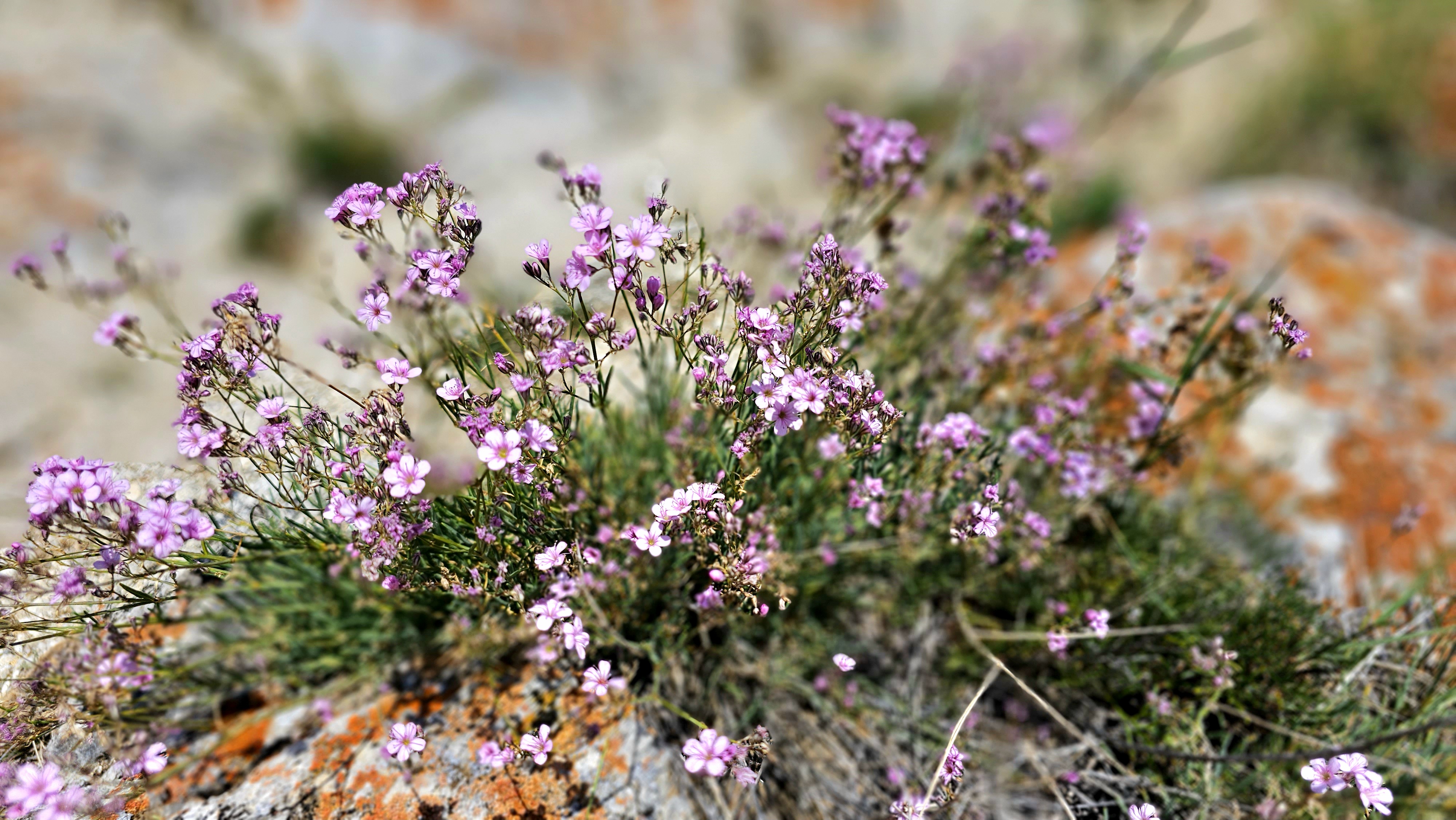Сердце Байкала, комфорт-тур (13/28)