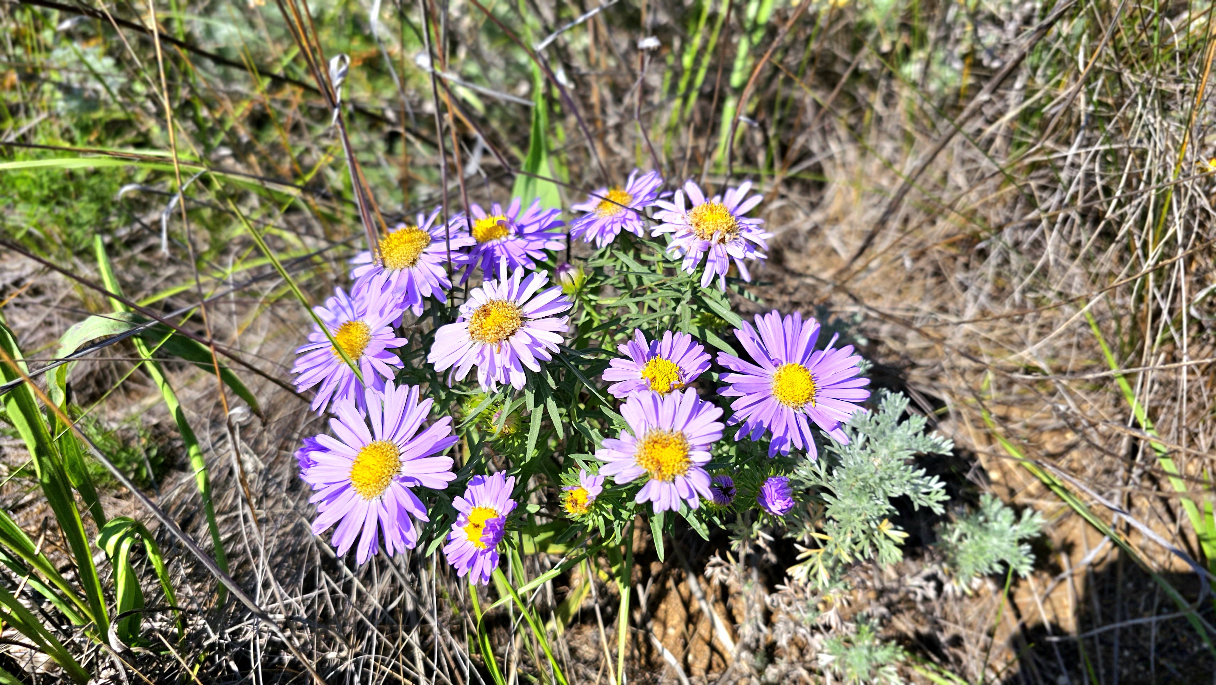 Сердце Байкала, комфорт-тур (19/28)