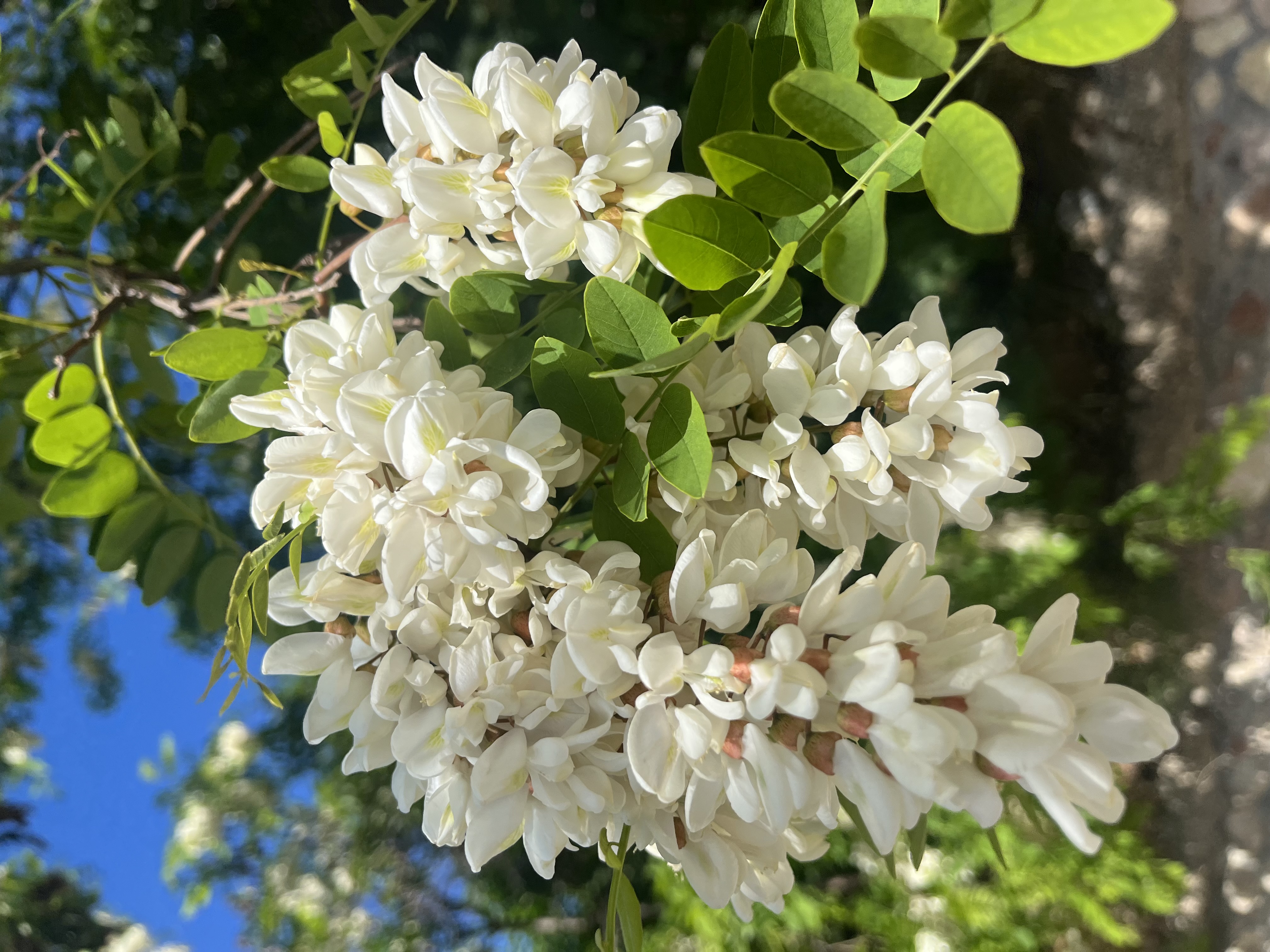 Vip Девичник Крымская мозаика: собирая себя из ярких моментов (8/11)