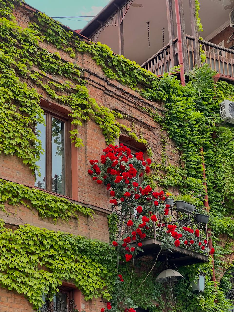 Грузия - веселый молодежный и комфортный тур (винодельни, мастер-класс, горы и море) (23/151)