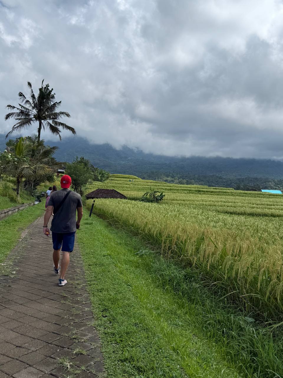 Большое приключение по Бали,Нуса Пениде и Яве с восхождением на Иджен! (18/269)