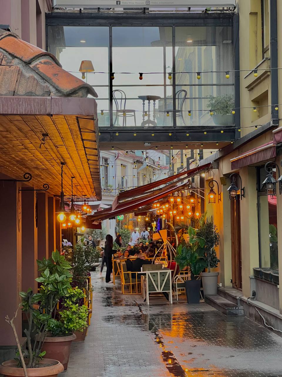 Грузия - веселый молодежный и комфортный тур (винодельни, мастер-класс, горы и море) (39/151)