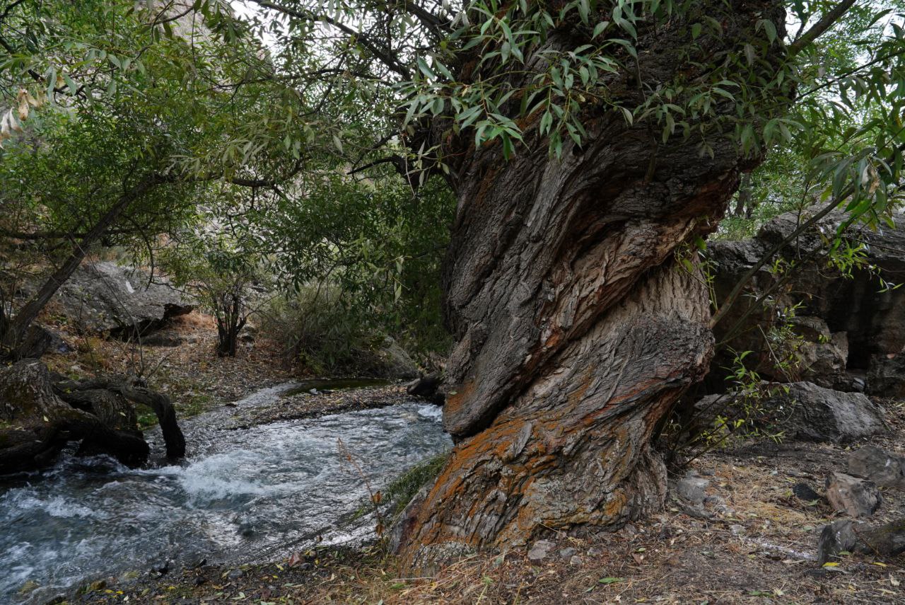 Фанские горы с восхождением на Замок 5020 м и Энергию 5132 м (29/31)