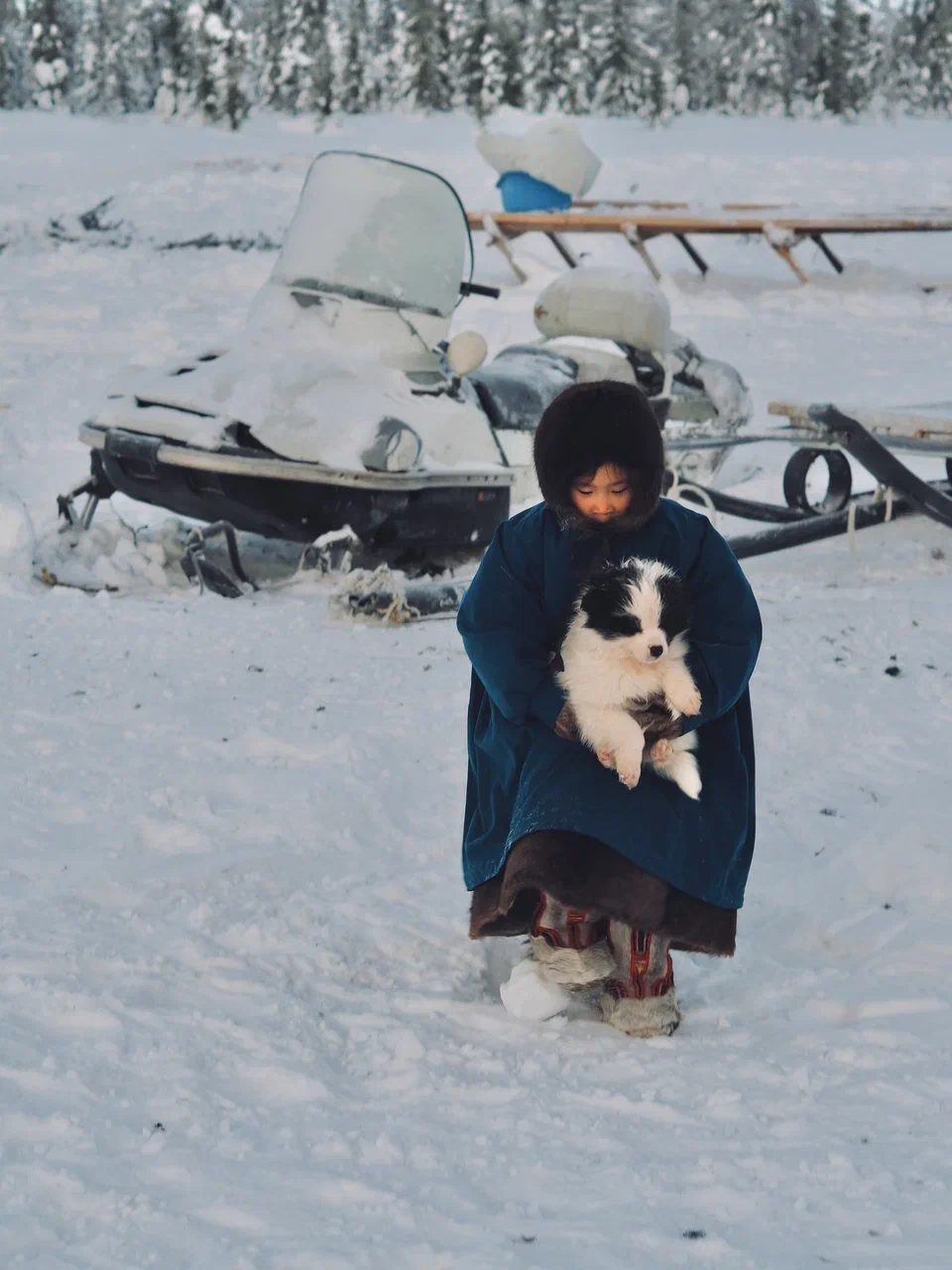 Ямал: ночь в чуме у оленеводов, северное сияние, перемещение на Трэколе, парк Ингилор (12/19)